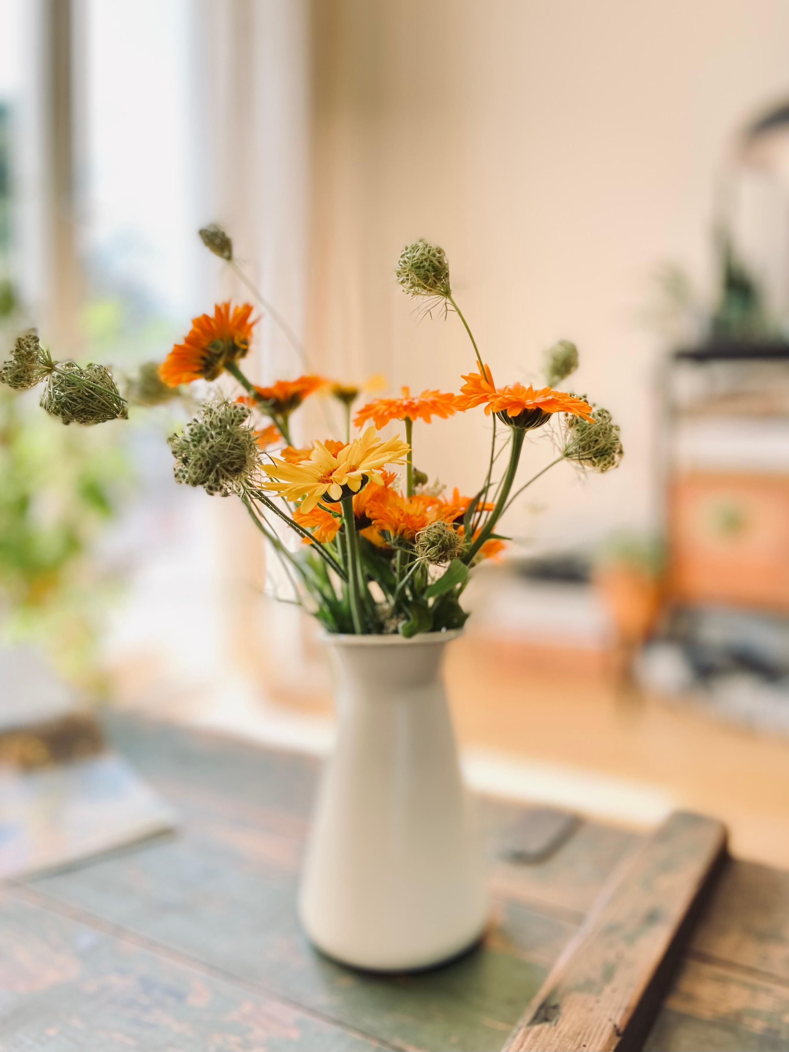 Blumen aus dem Garten #Ringelblumen das leuchtende #orange bringt den #sommer ins Haus

#gartenblumen #retro #sommerfarben #leuchtfarben #gelb #sonnig #blumen #country