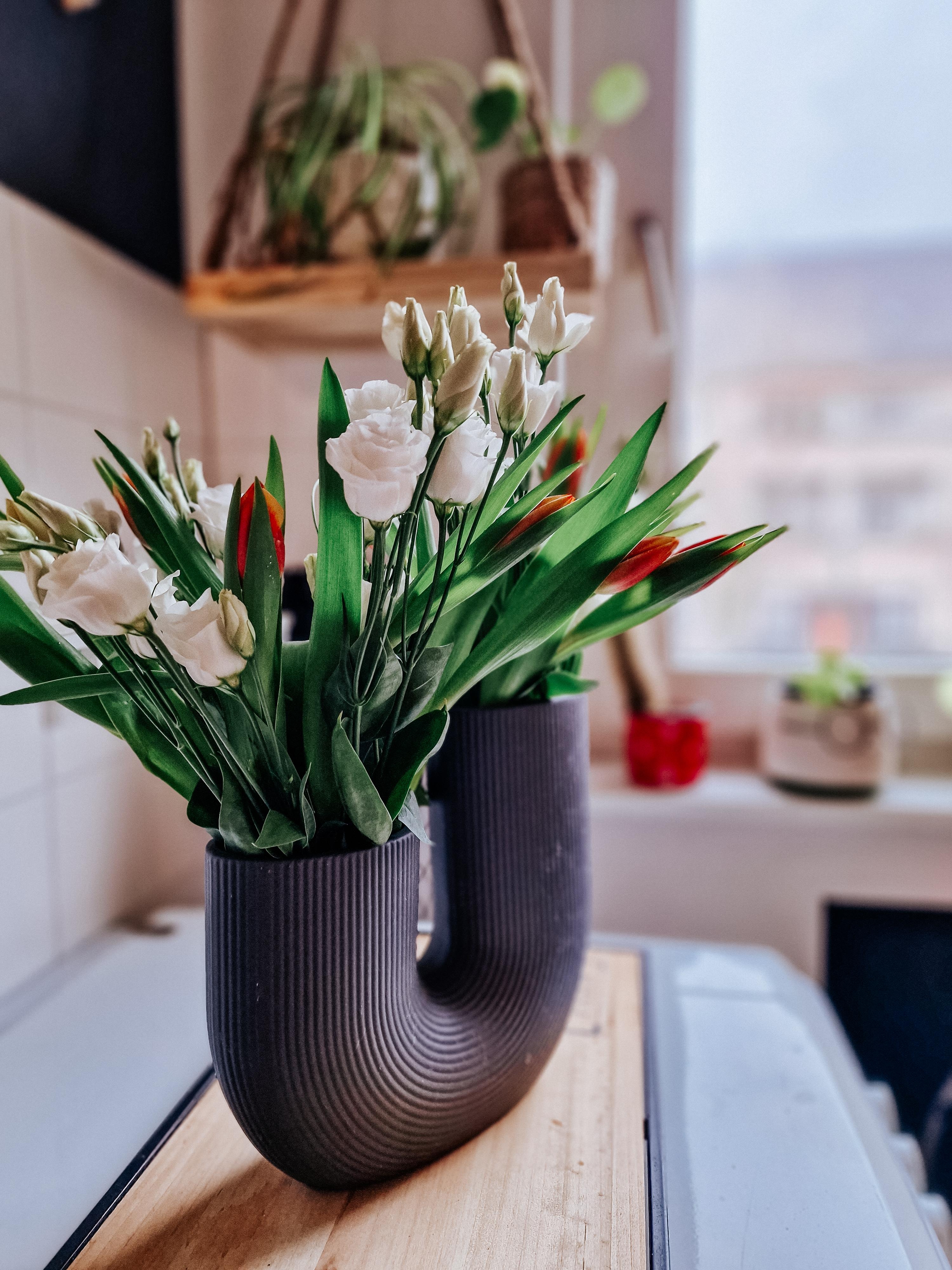 #Blumen #Enzian #Tulpen #storefactory #vasenliebe #Blumenstrauß #icanbuymyselfflowers #vonmirfürmich