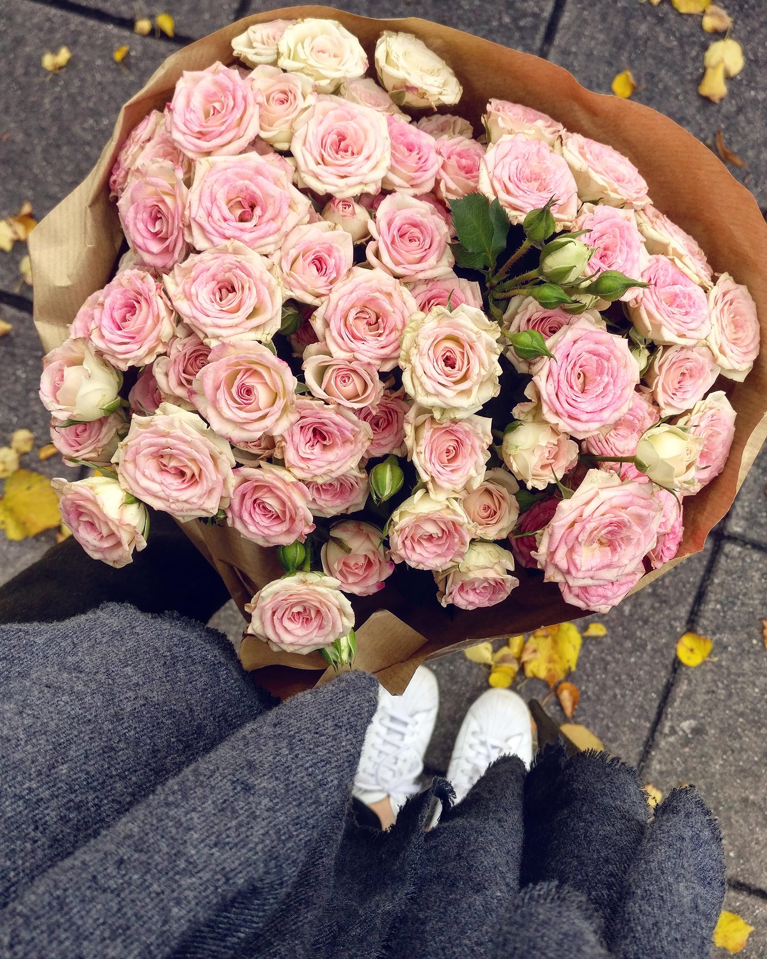 Blumen gehen immer!
#Blumen #flowers #pink