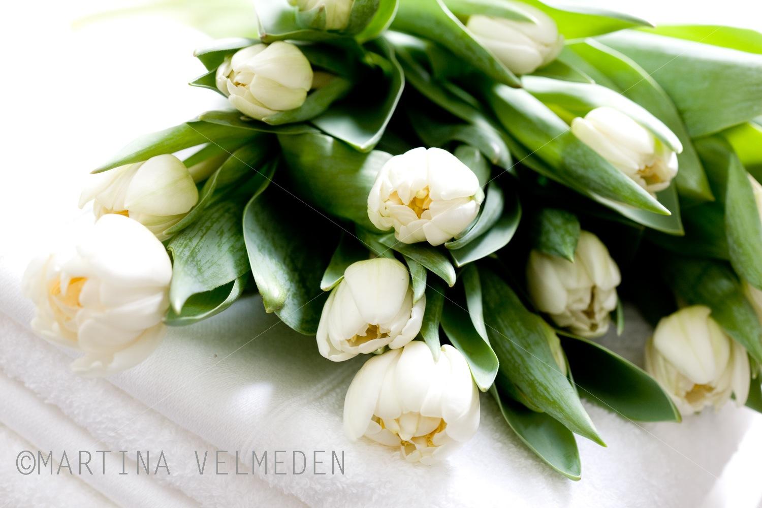 Blumen im Frühling #tischdeko #frühlingstischdeko #frühlingsdeko ©MARTINA VELMEDEN Interior Design