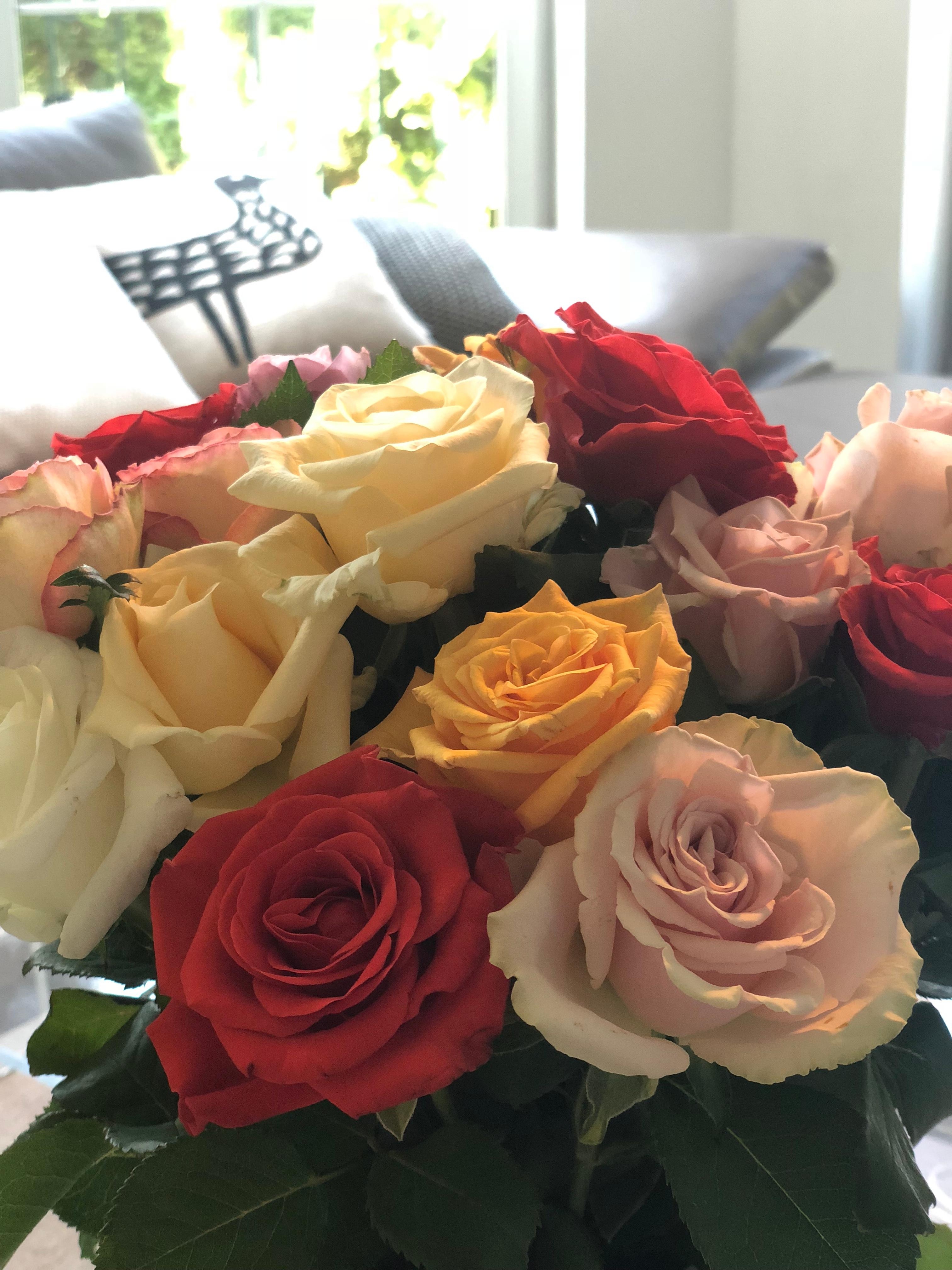 Blumen machen glücklich 🍀#blumen#rosen#sommer