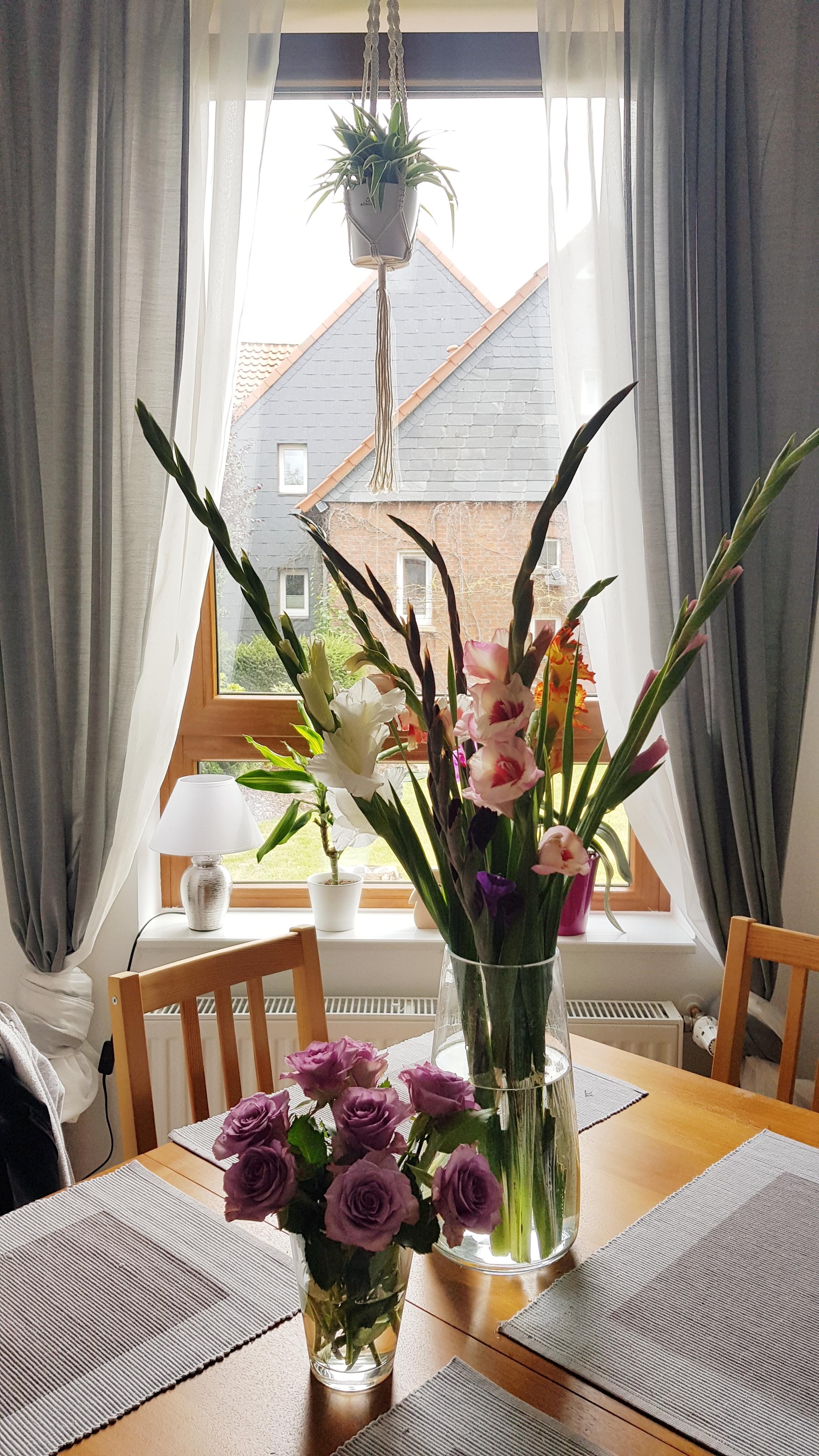 Blumen machen jeden Raum Bunter ♡ #blumenliebe #flowers #flowerlove #cozyliving #cozyhome #decoration 