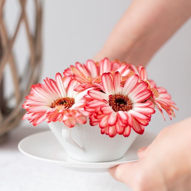 Blumengruß in der Tasse zum Muttertag.
#wiebkeliebtdiy#blogpost#flowercrush