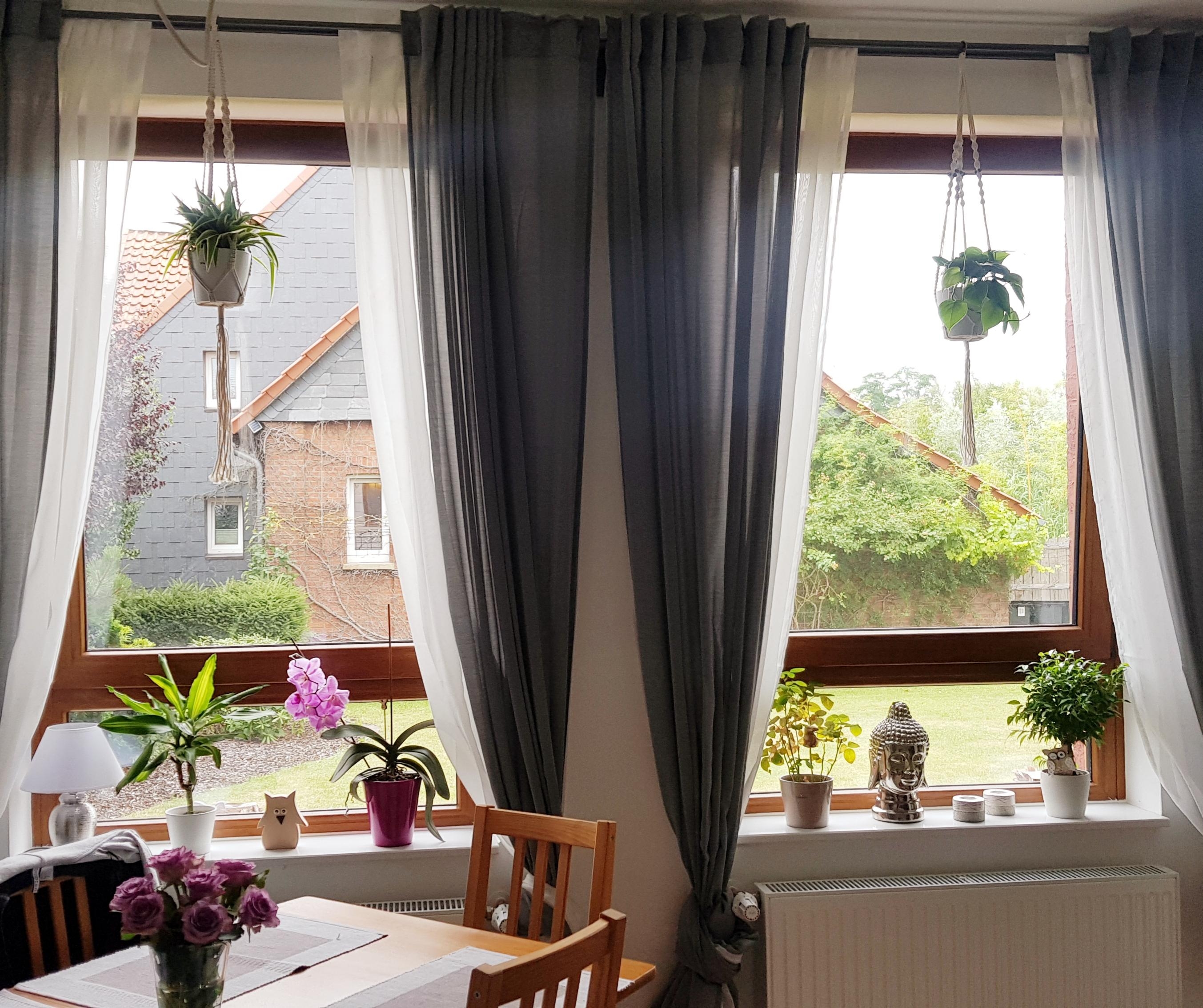 Blumenliebe ♡ immer ein Stück mehr  in unserem Heim! #blumenliebe #cozyliving #cozyhome #decoration #DIY #interior 