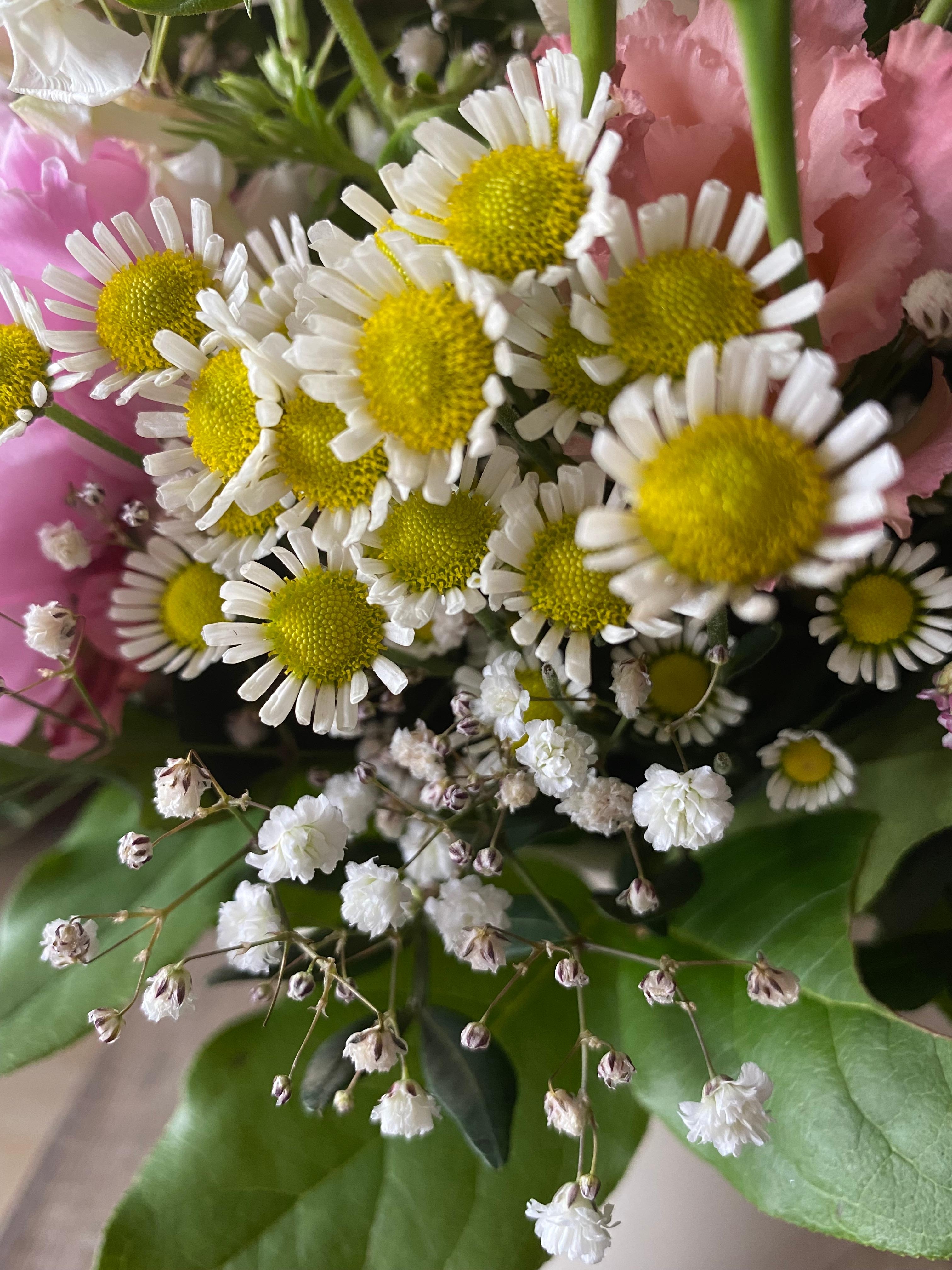 #blumenliebe Die weiß-gelben Blüten machen sich gut im frischen Blumenstrauß.