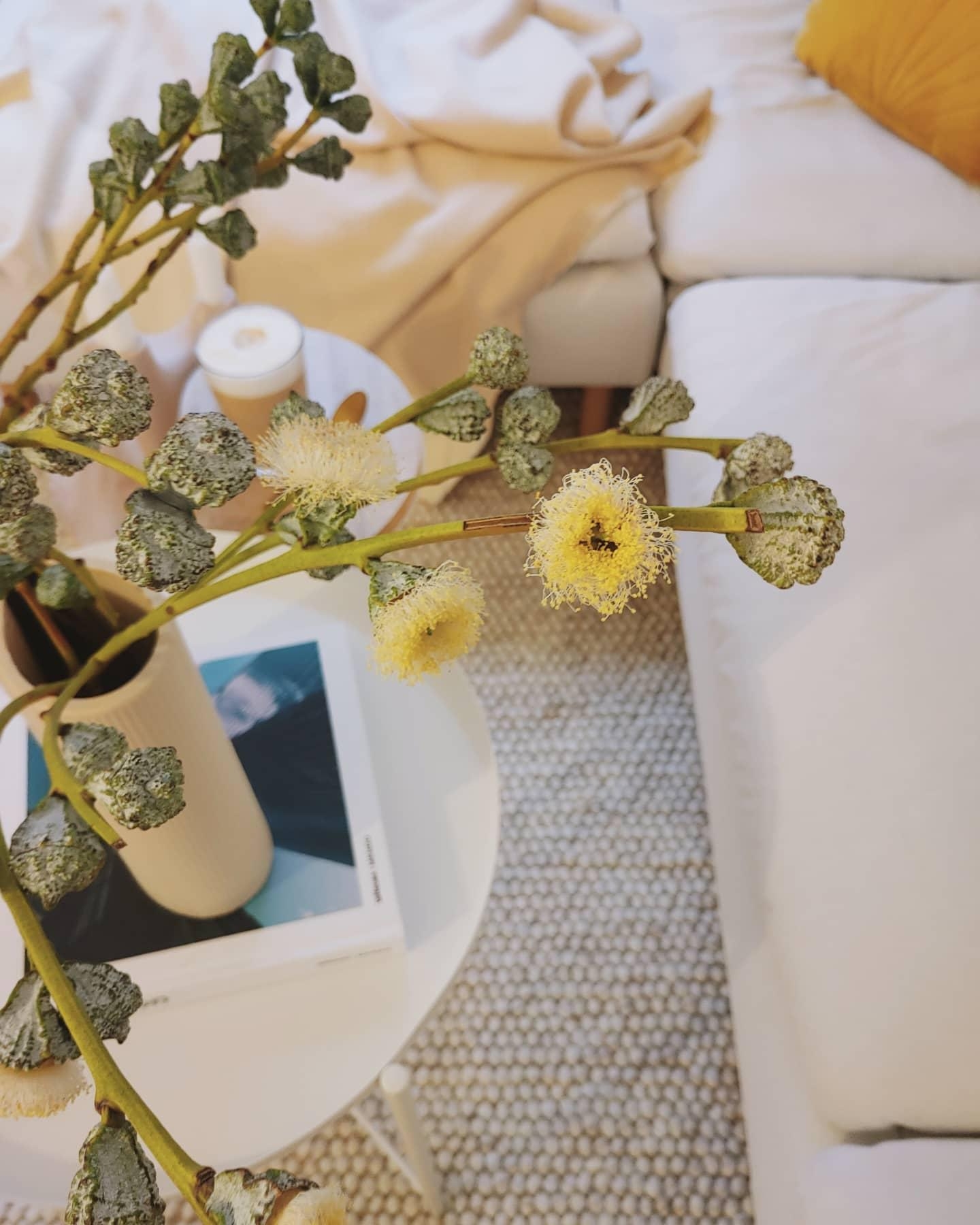 Blumenliebe

#Eukalyptus #Couchtisch #Wohnzimmer #Skandi #Nordic #Hygge #hyggelig #couchliebt #couchstyle 