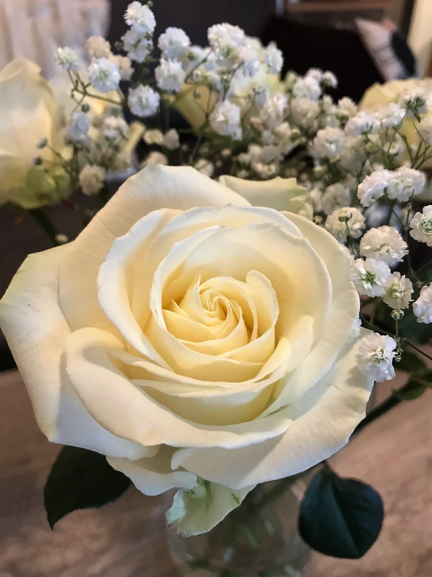 #blumenliebe 
Weiße Rosen zum Wochenende