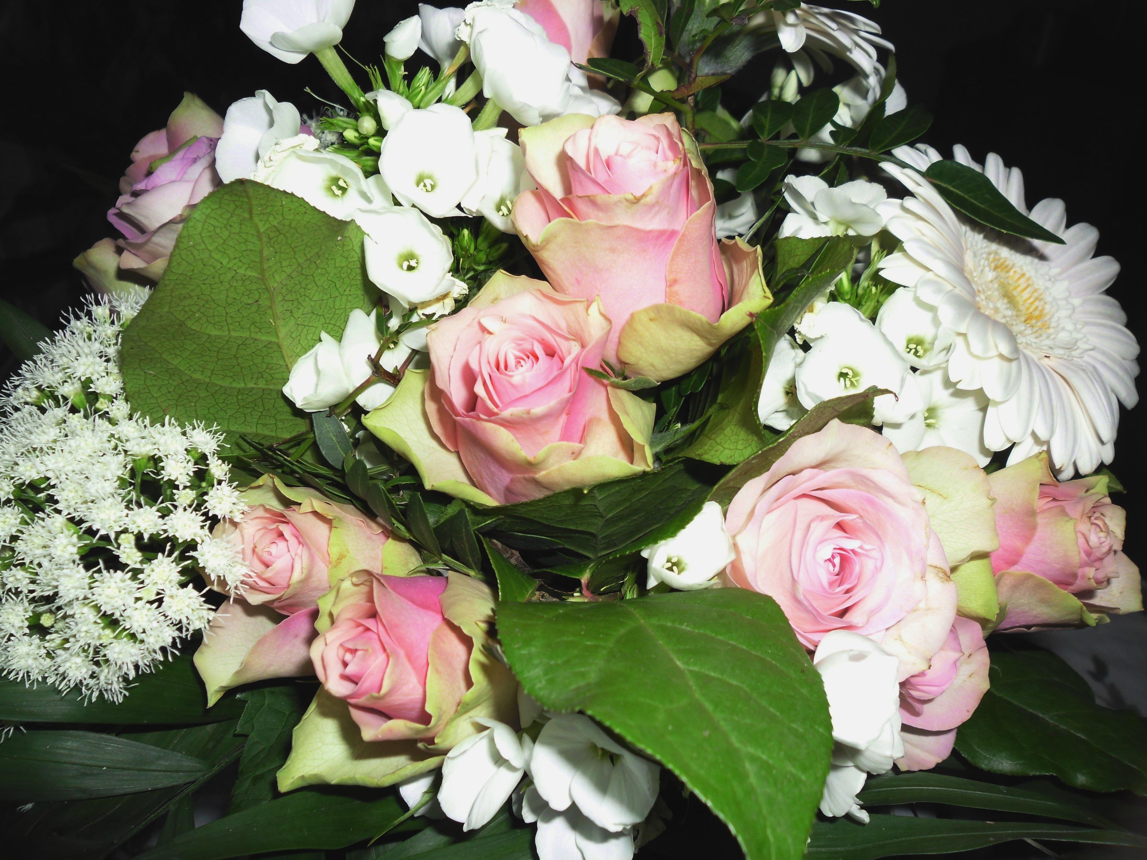 #blumenliebe zarte Rosen zum Wochenende
