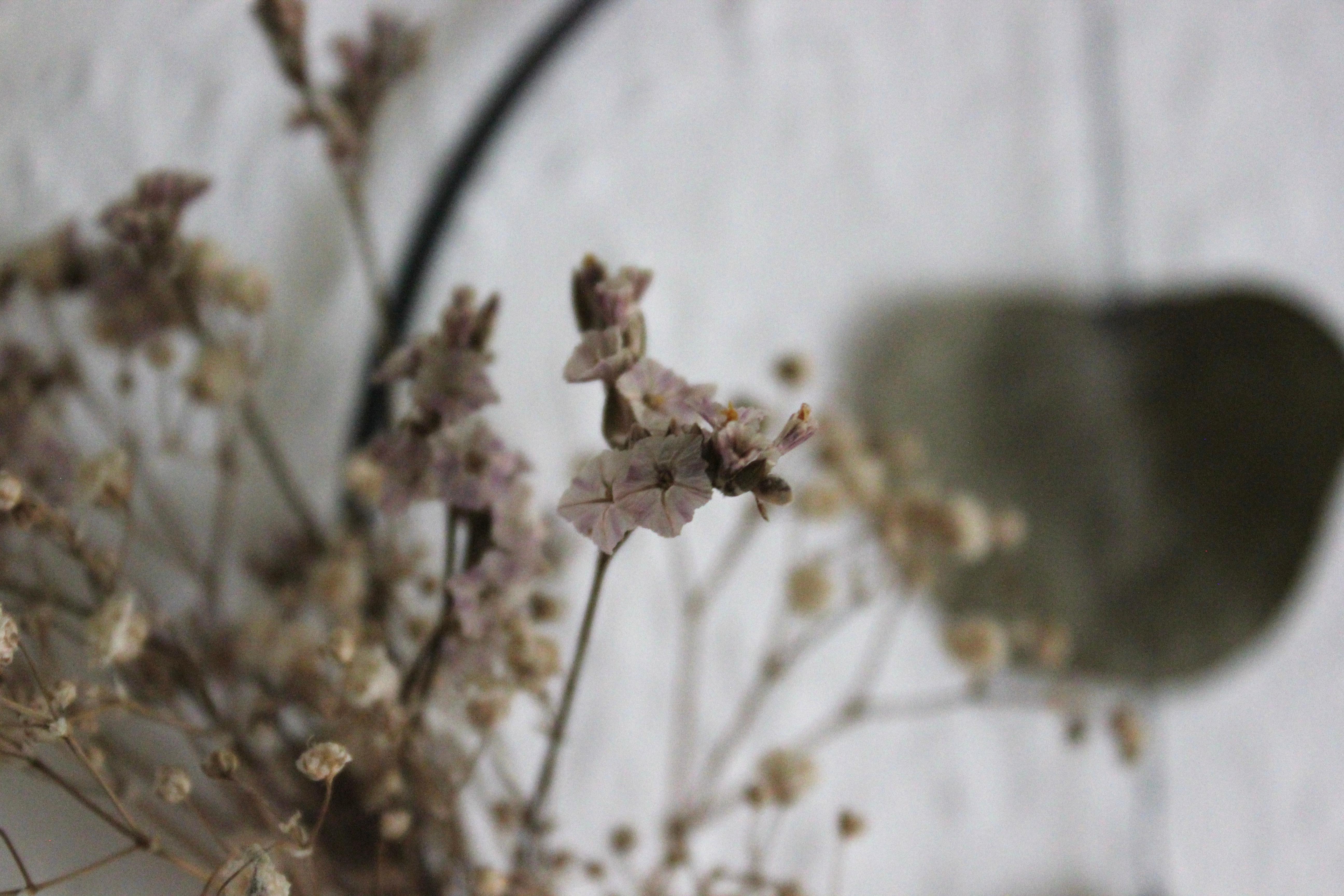 #blumenreifen #couchliebt #decor #diy #blumen #flowers #interior #minimalistisch