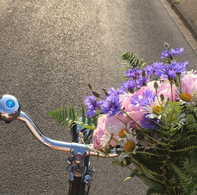 Blumentransport am Fahrrad, der Sonne entgegen ☀️ 🚲 💐 #freshflowers #fahrrad #couchliebt #couchstyle #geschenk