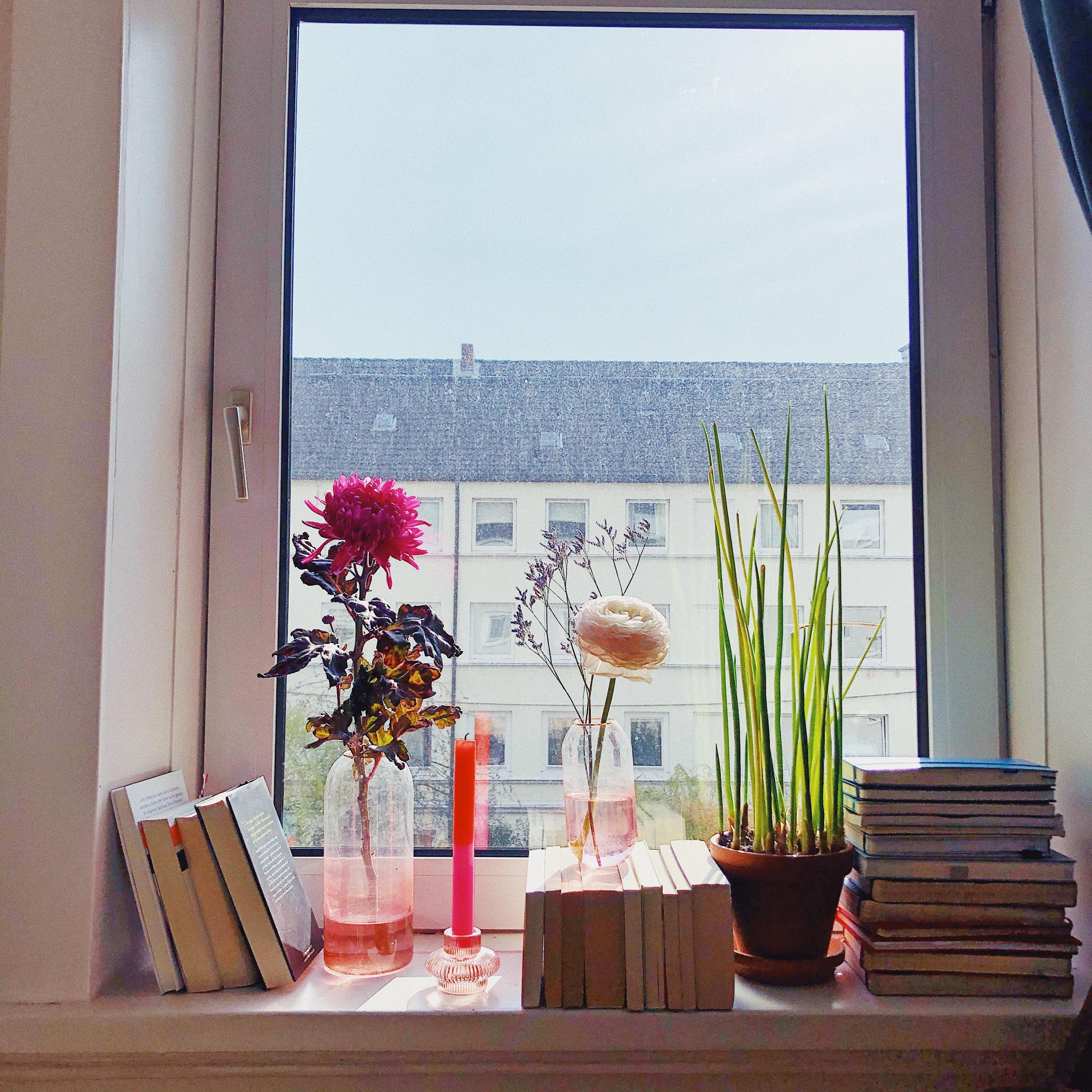 Bücher mit Aussicht 
#Bücher #Fensterbank #Wohnzimmer #Bücherliebe #Blumen