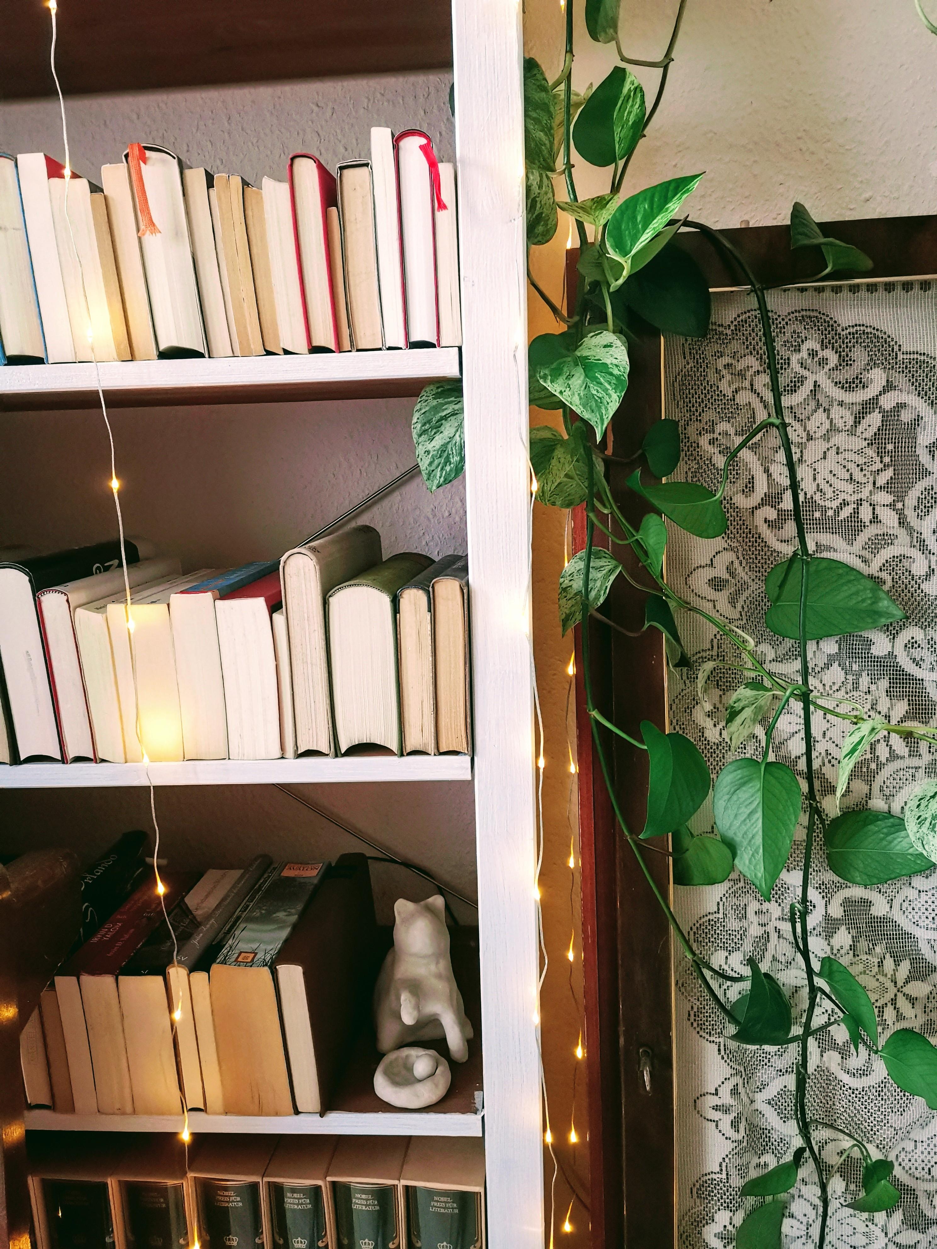 Bücher, Pflanzen, DIY und schönes Licht. Das ist für mich #hygge #livingchallenge 