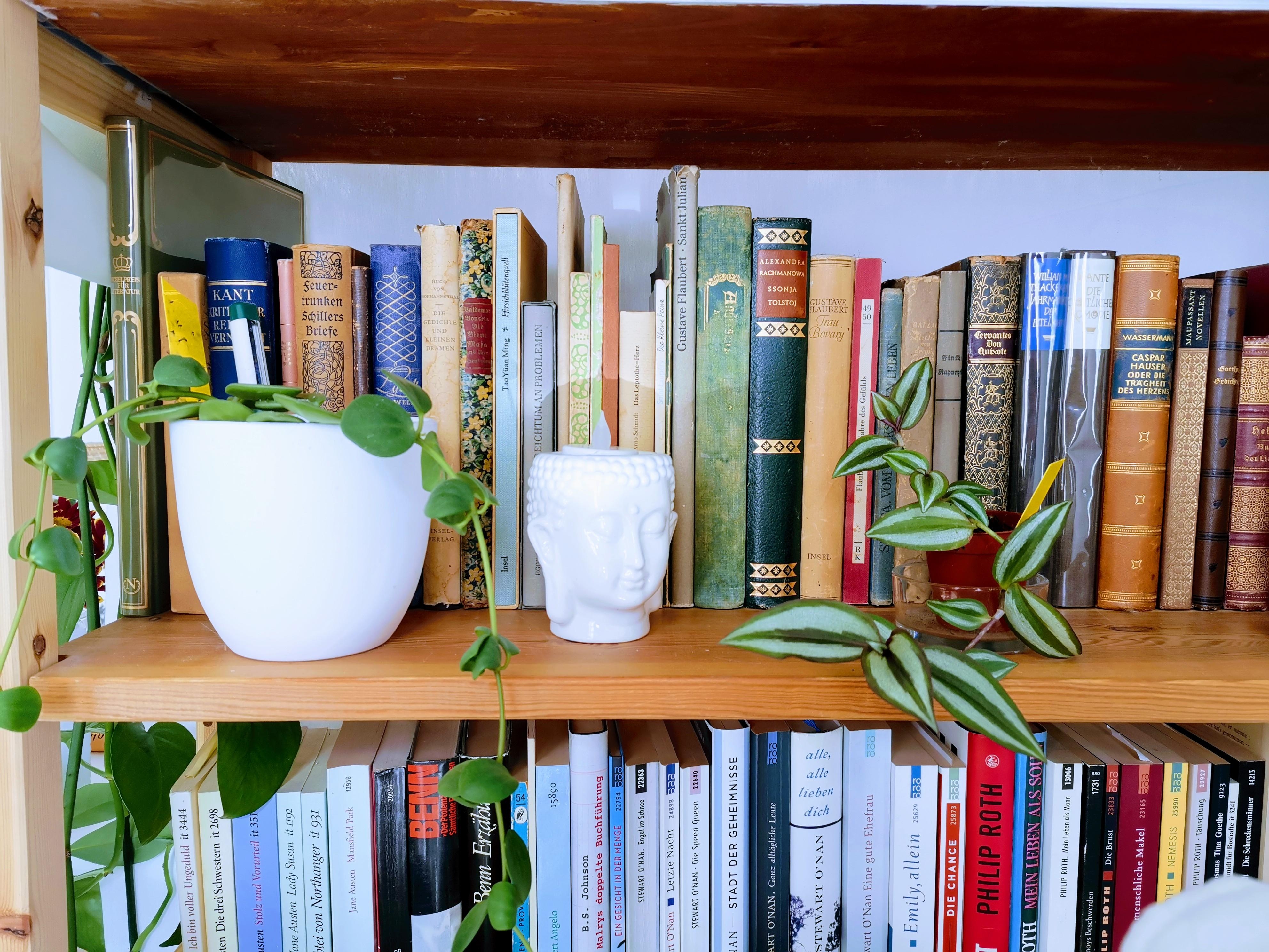 Bücher und #pflanzen ich mag die Kombination. #livingchallenge 