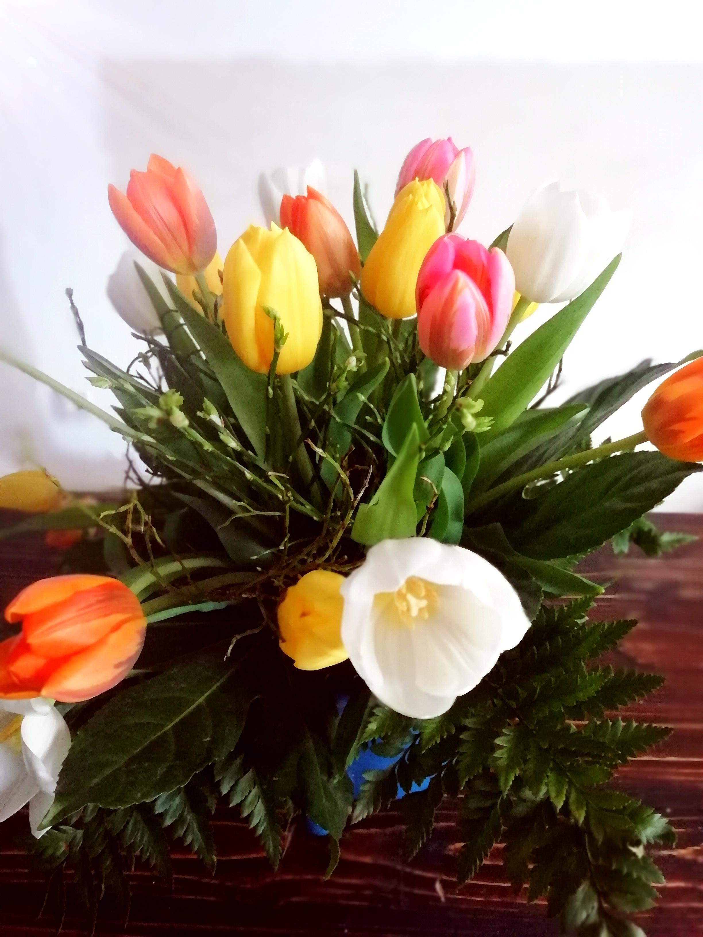 Bunt, bunter - schöne Ostern 🐰
#Tulpen #Frühling #bunterStrauß