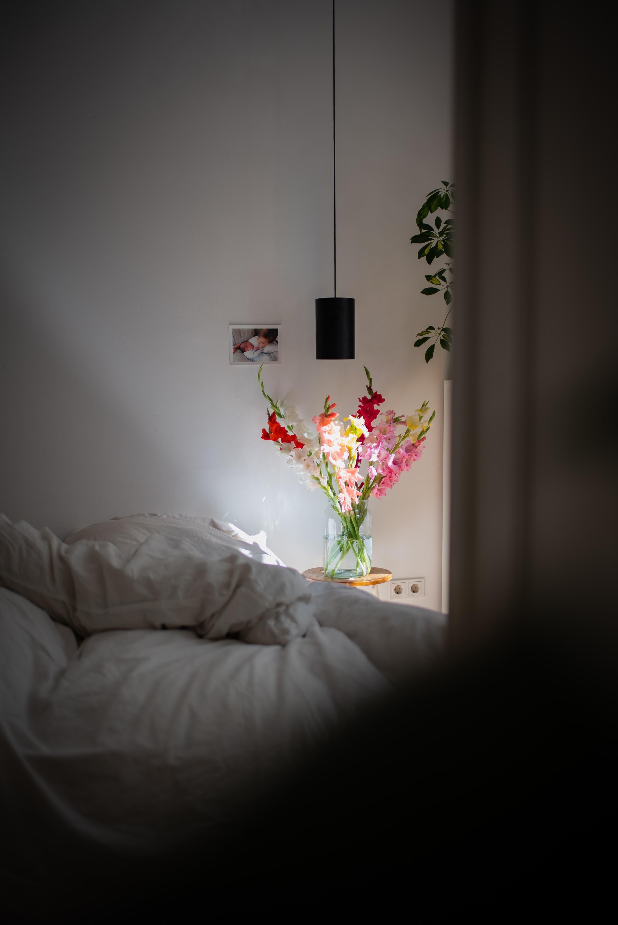 Bunter Morgengruß #freshflowers #bedroom #gladiolen #morgensonne #stilllife