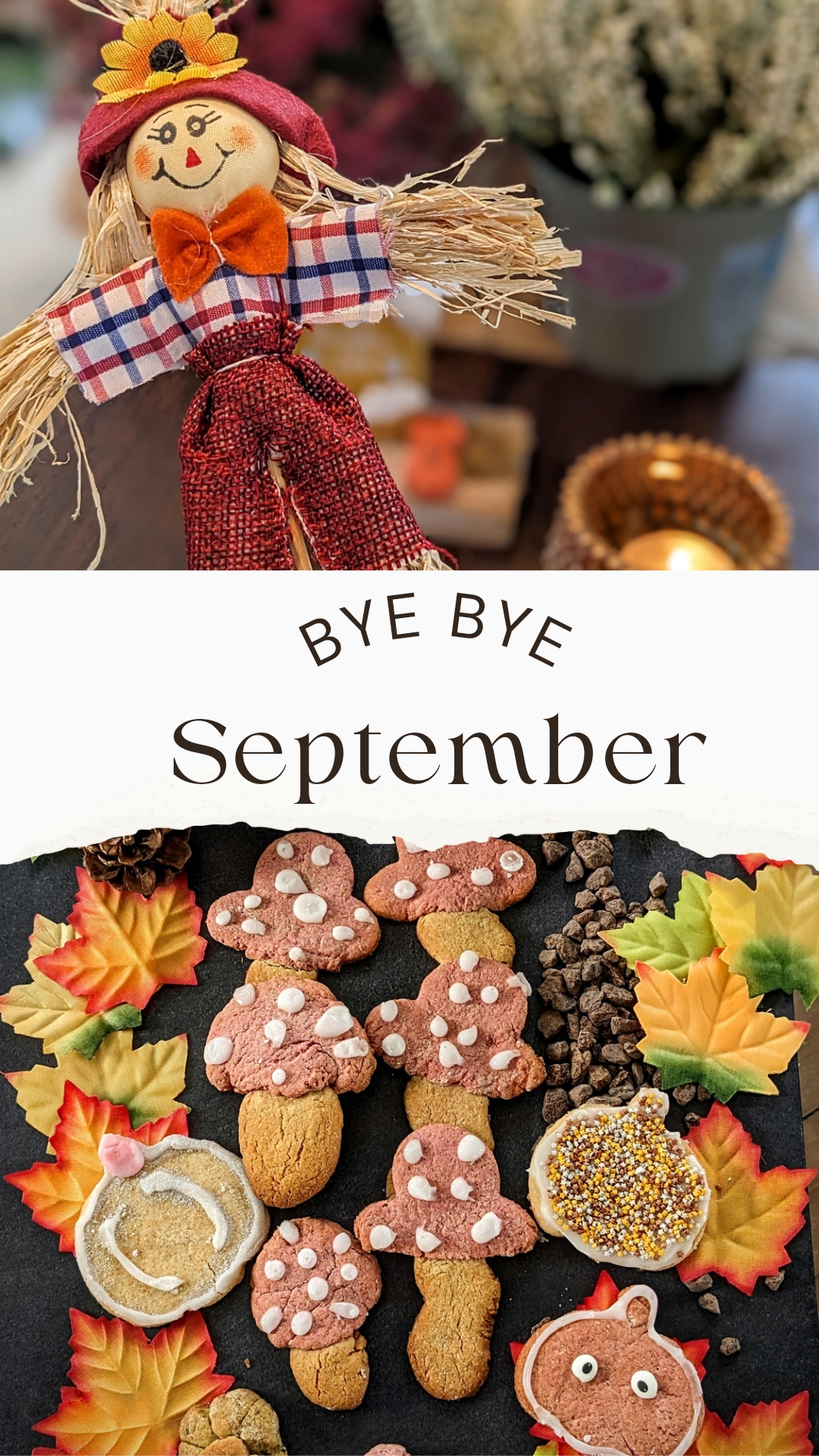Bye Bye September.
Als Herbstmensch mein Lieblingsmonat neben dem Oktober.🍁🍄🦔🍂🧡🥜
#herbst #deko #food #kürbis