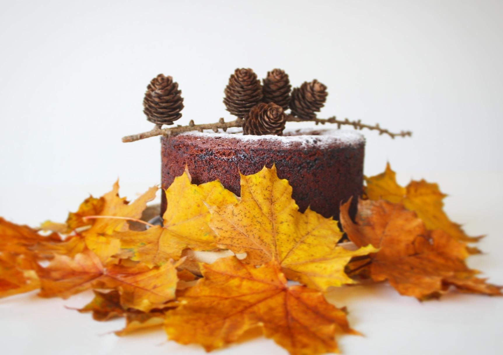 #cakelover #cake #autumn #couchstyle #lecker !