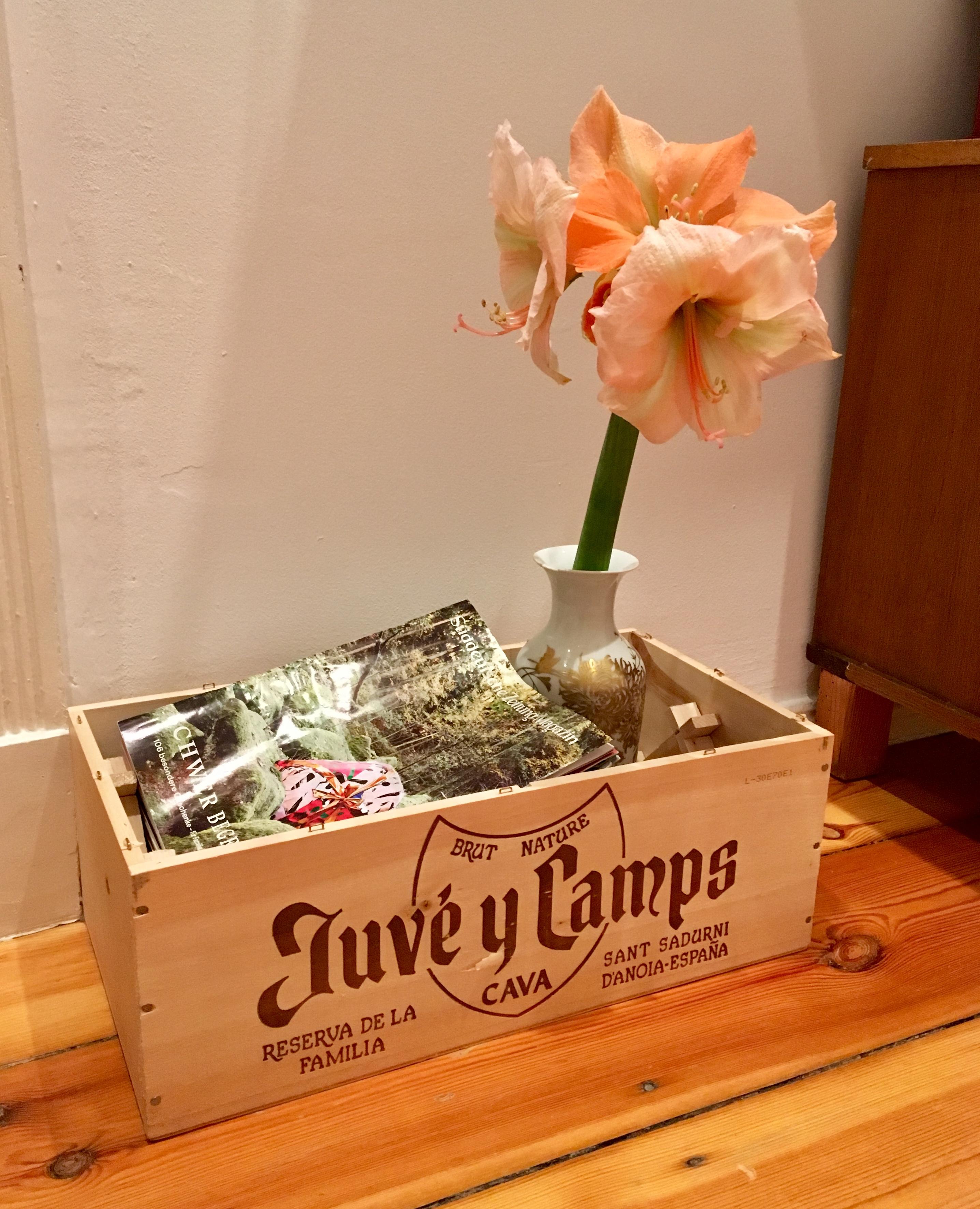 Cave-Kiste als Zuhause für Magazine und Omis Vase mit Goldverzierung #upcycling #livingABC 