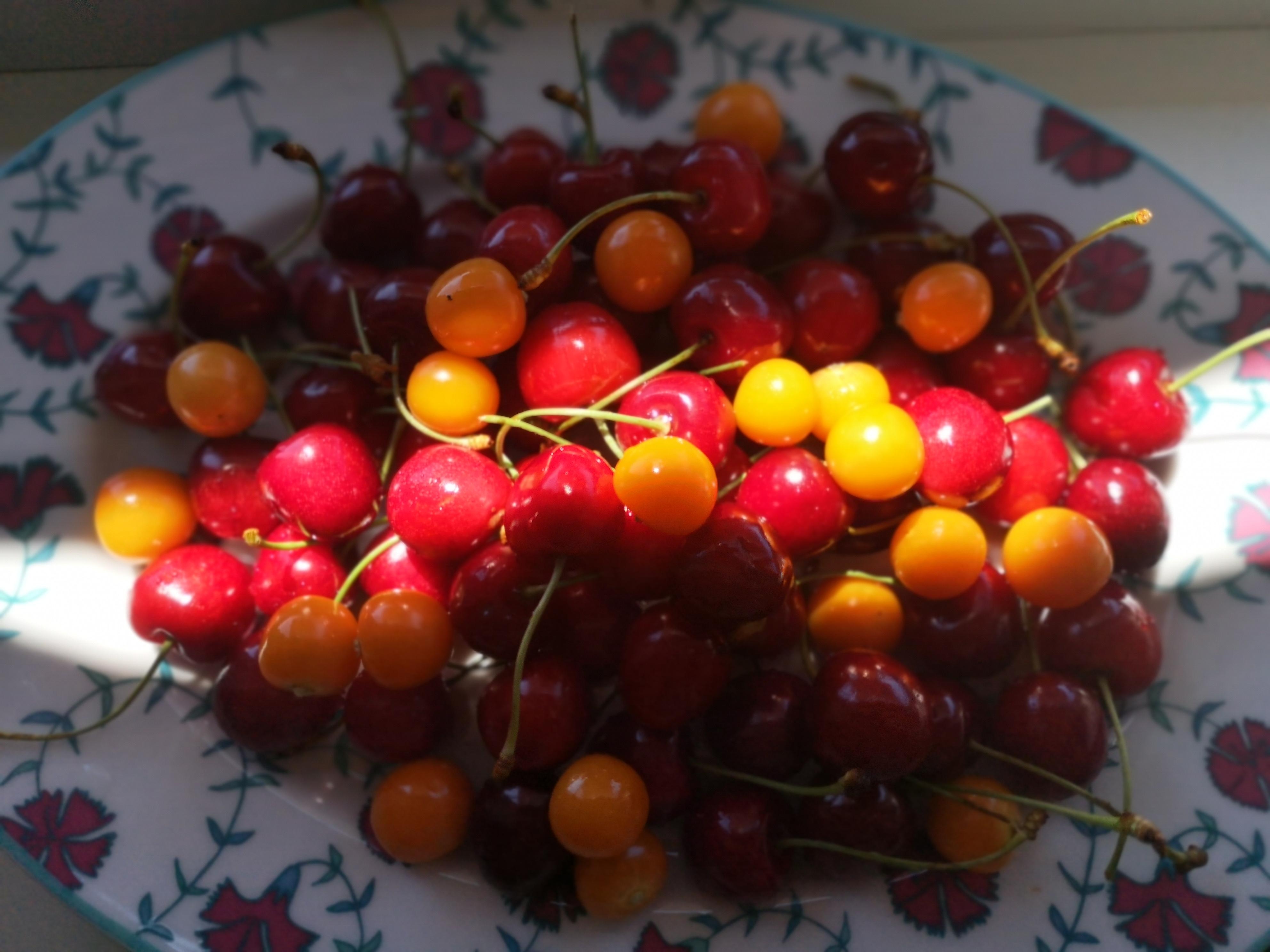 Cherry cherry lady🎶🎶🎶
#kirschen #snack 