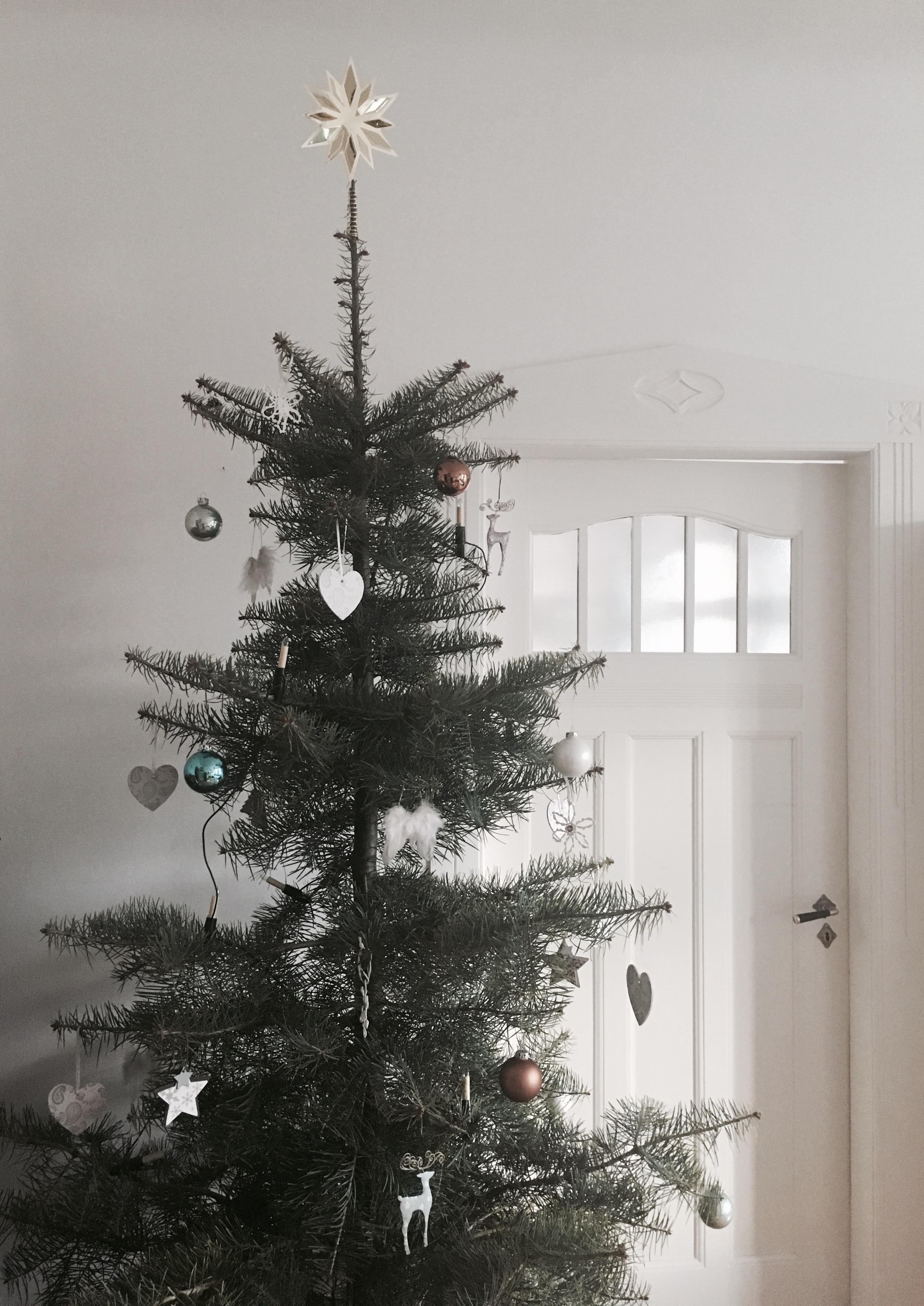 ChristmasTree... #weihnachten #weihnachtsbaum #stern #weihnachtsbaumkugeln #weihnachtsbaumschmuck #coloradotanne 