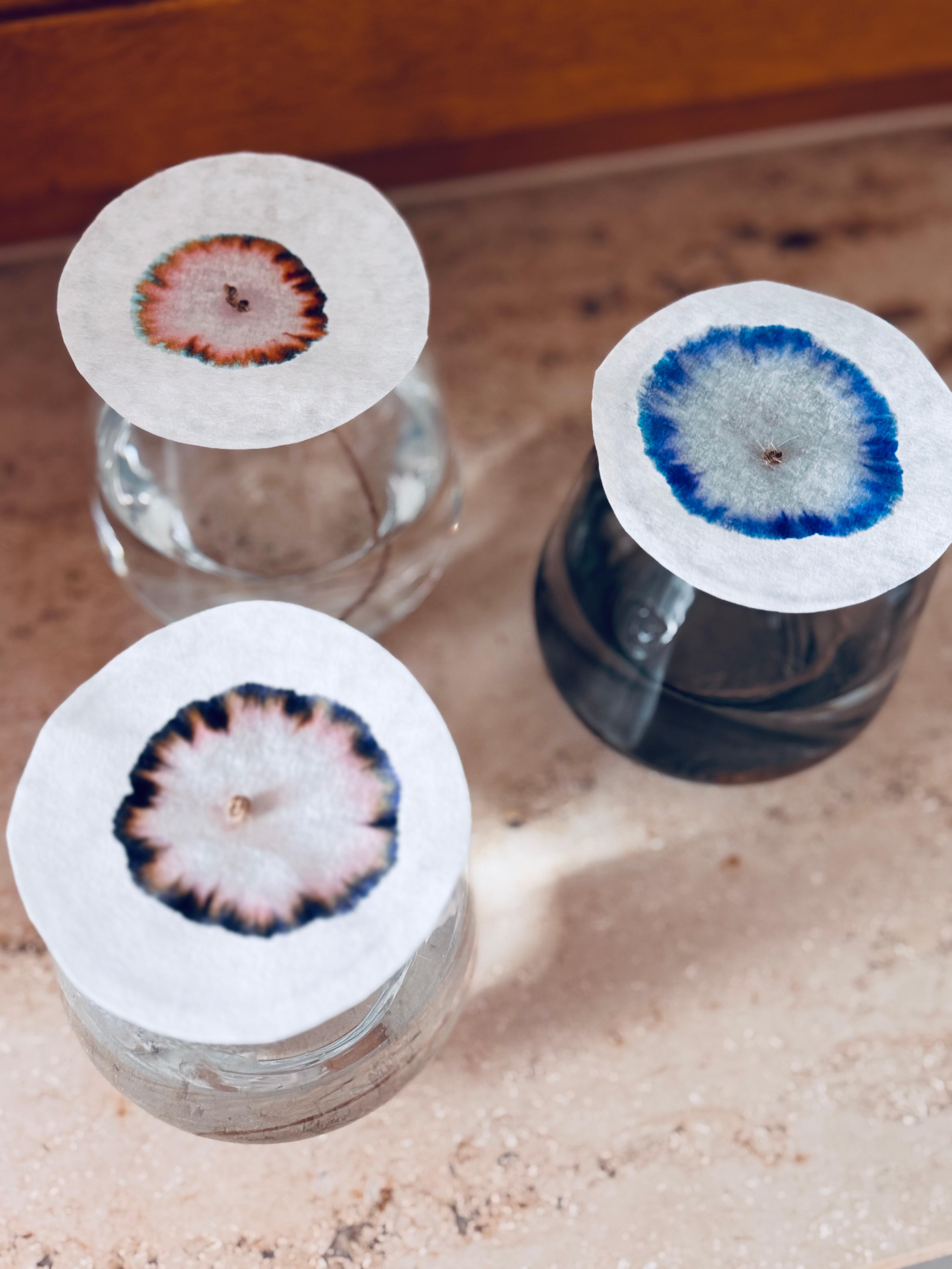 Chromatographie. #farbexperimente #lebenmitkind #kaffeefilter