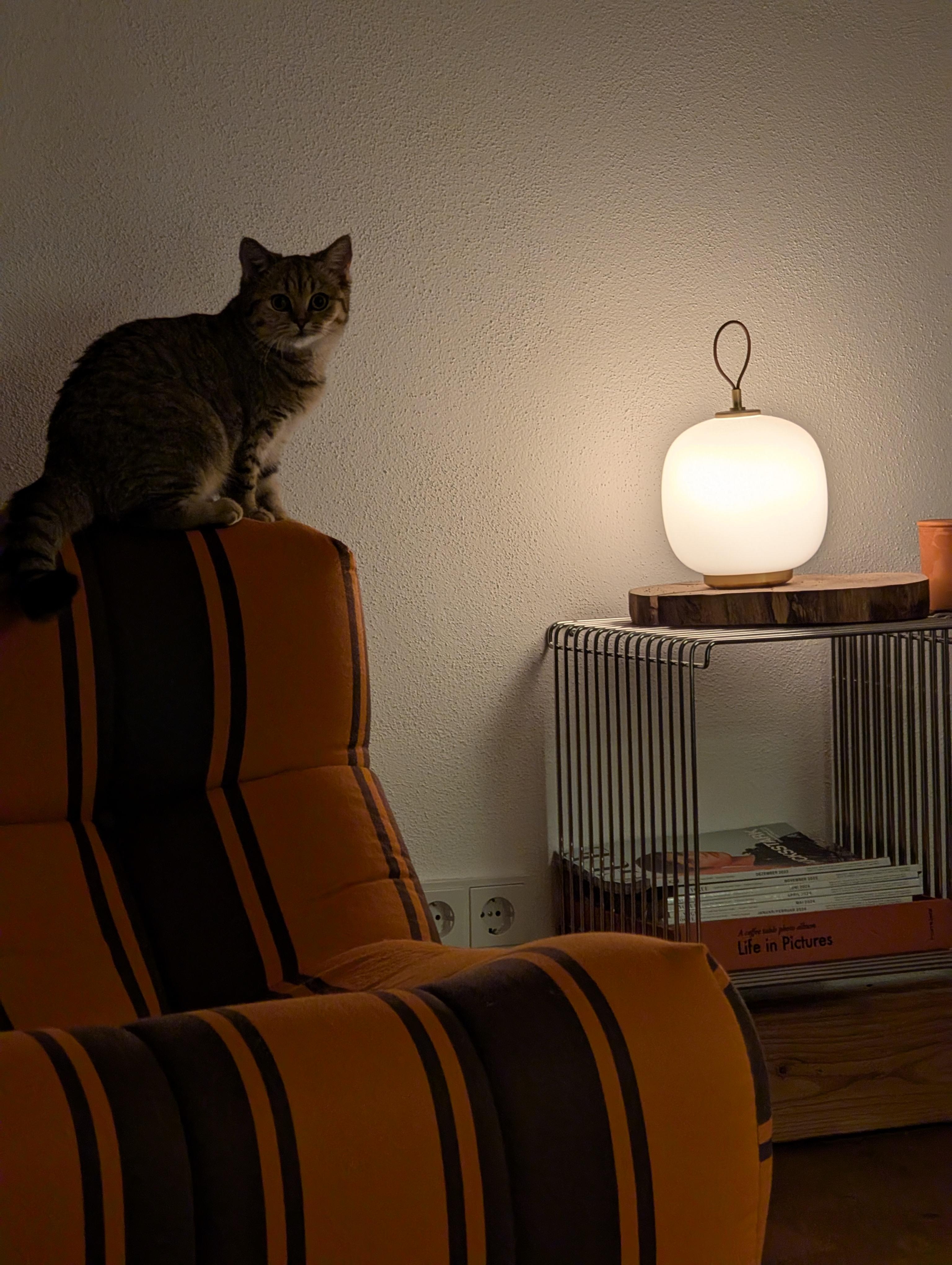 Ciao Sommer, hi Herbst. 