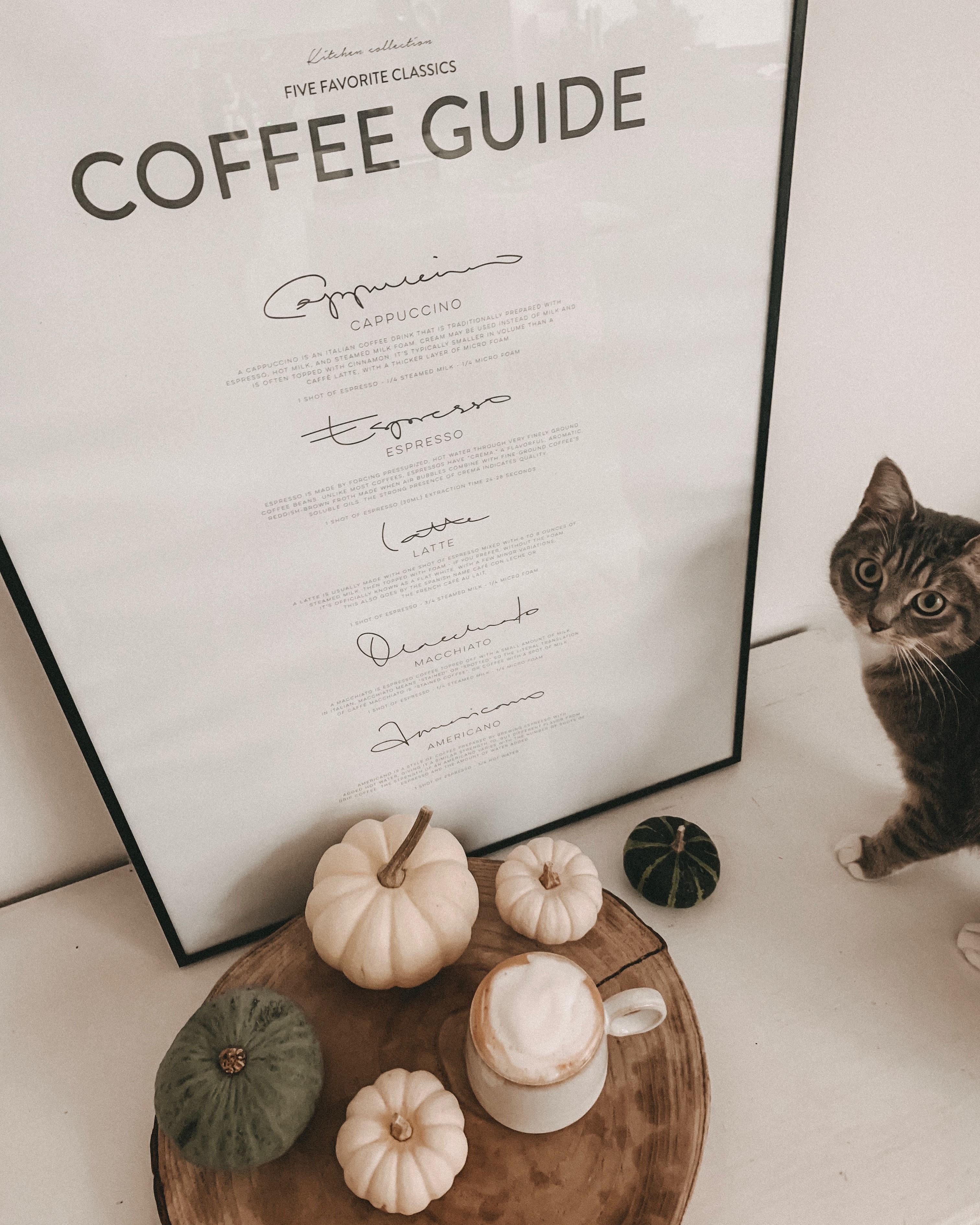 Coffee Guide ☕️ Balu hat sich mal wieder ins Bild geschlichen

#coffeelover #coffee #cat 