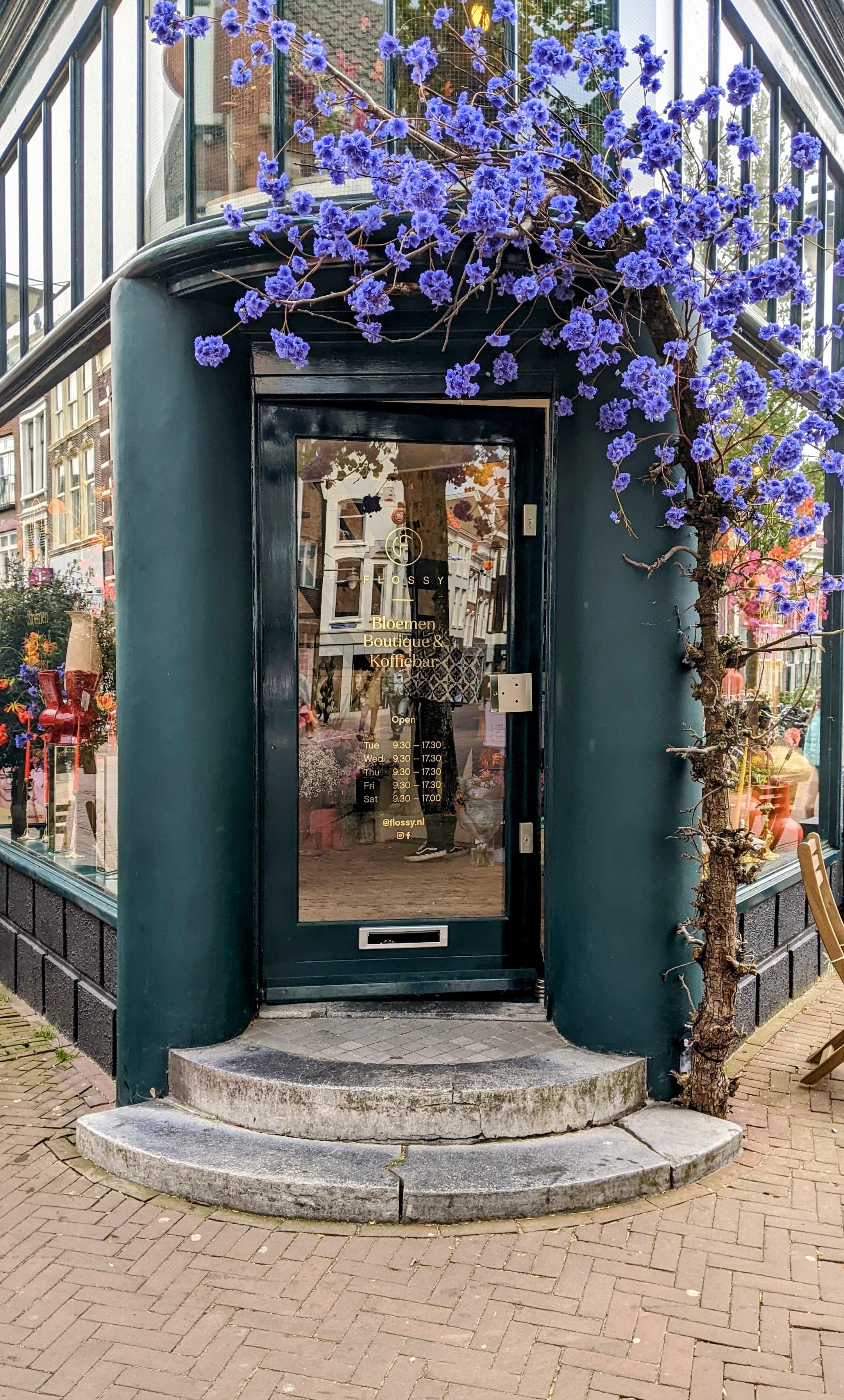 Come in...
#flowers #beautifuldoor #gouda #holland