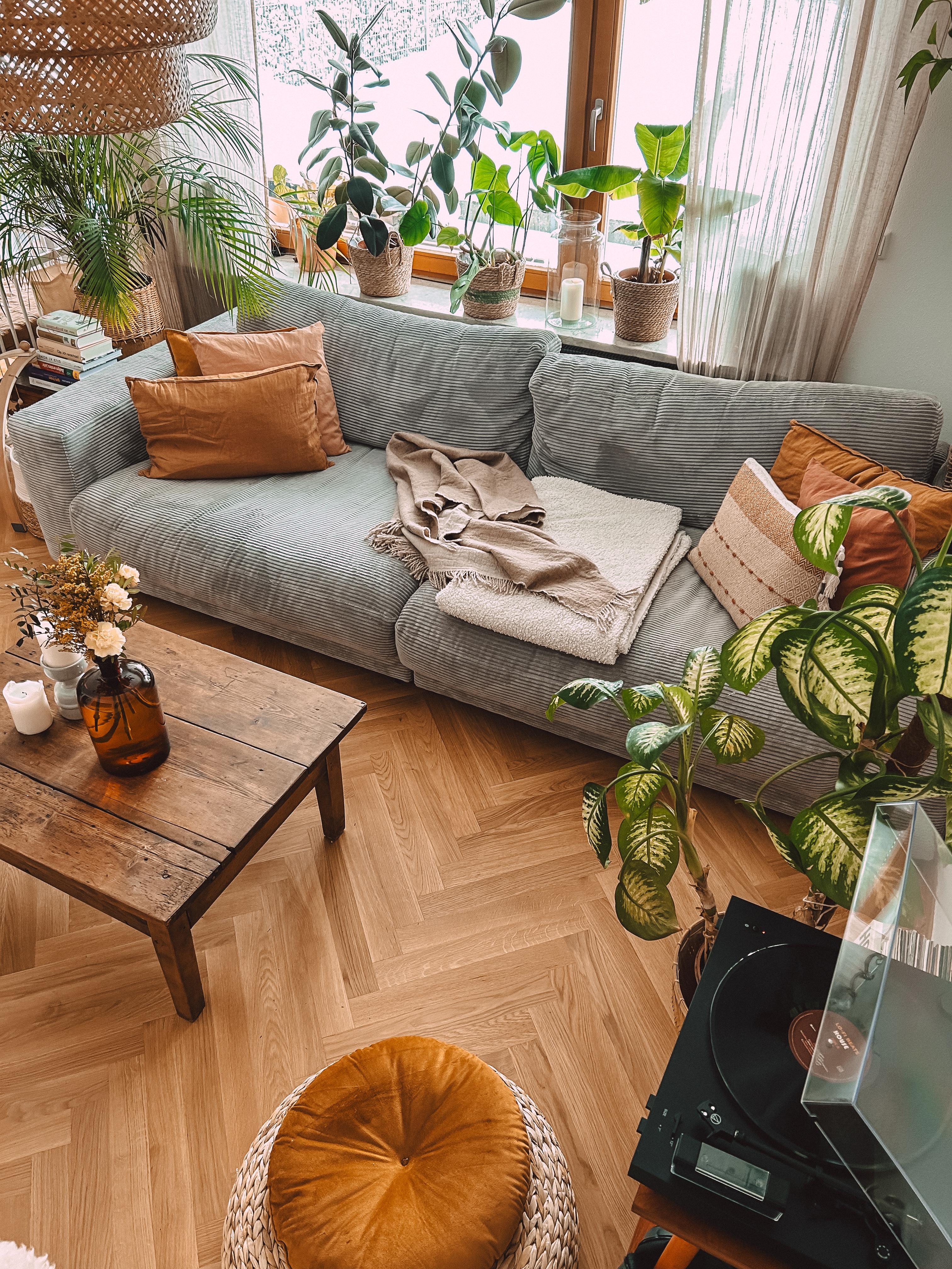 #cordsofa #sofa #couch #wohnzimmer #plants #pflanzen #plattenspieler #couchtisch
