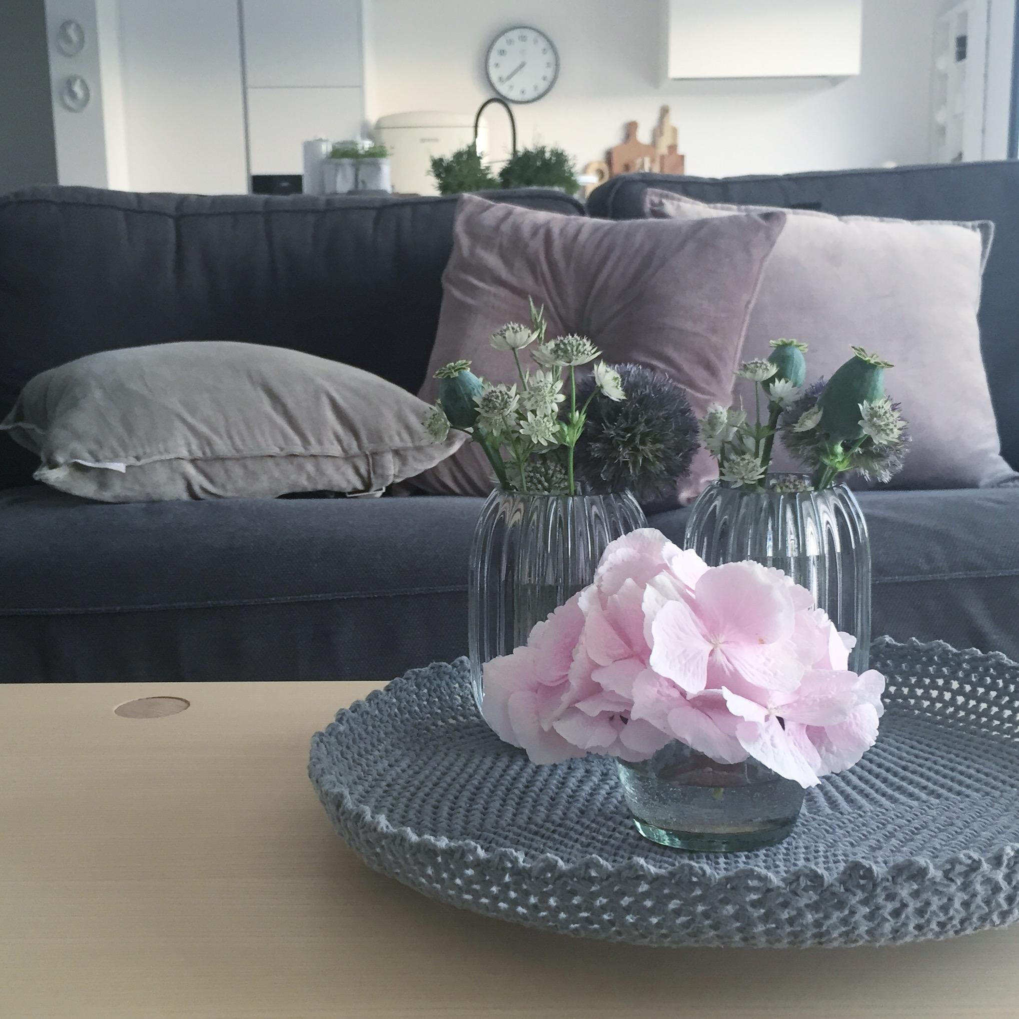 Couch 🛋 #couchview #kissen #vasen #blumen #freshflowers #hortensien #hygge #couchstyle #wohnzimmer