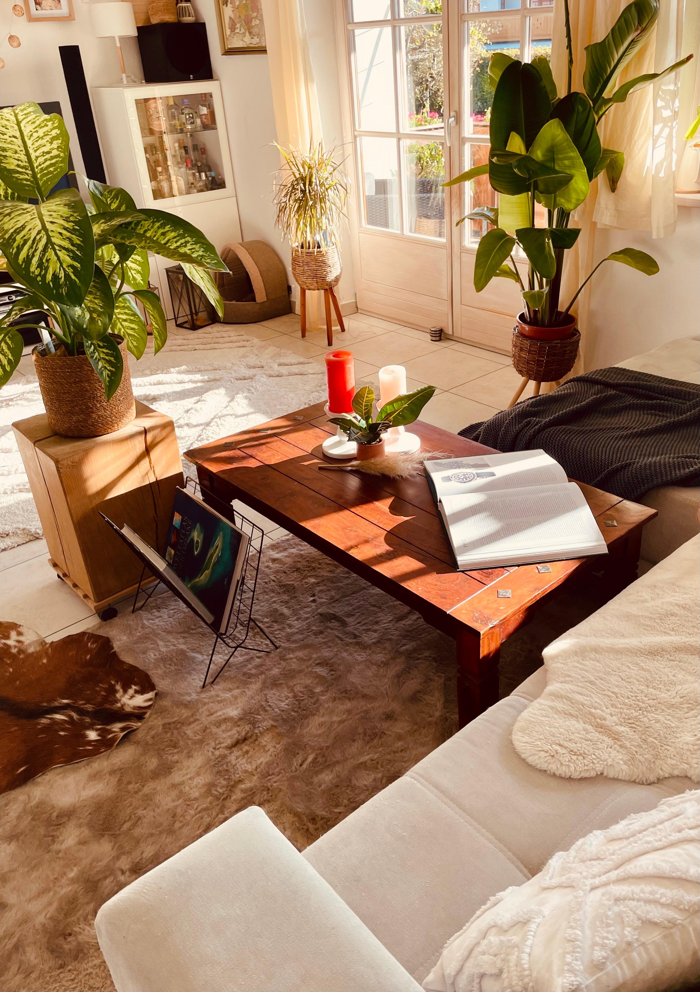 #couch #couchliebe #wohnzimmer #livingroom #sunshine #pflanzen #happyplace 