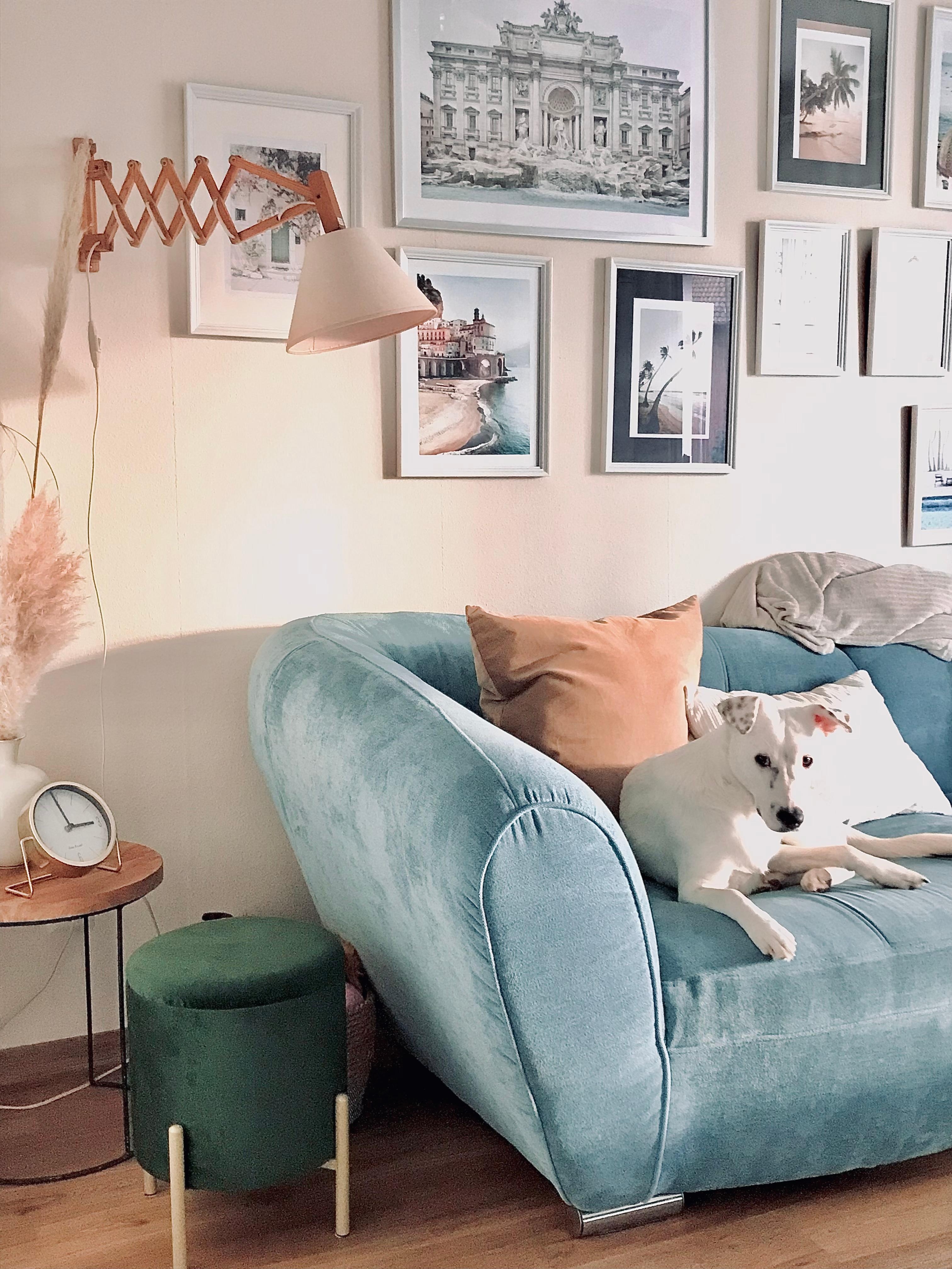 Couchliebe auch bei Avy. 🤍💙
#wandlampe #bilderwand #couch #hocker #tisch #wohnzimmer #home
#cozy #doglove 