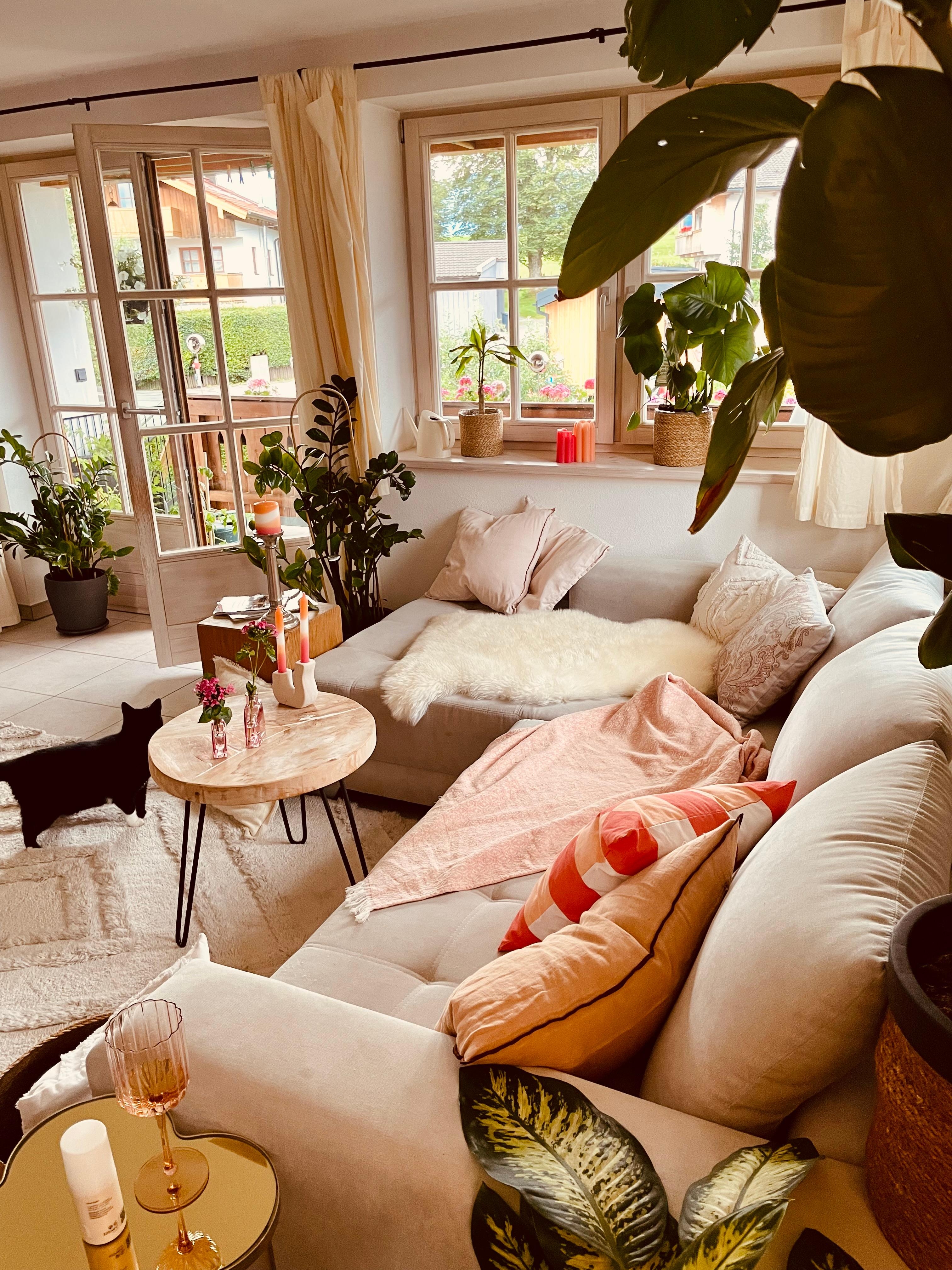 #couchliebe #couchstyle #wohnzimmer #sommer #colorfull #rose #apricot #katzenliebe #frischeluft 