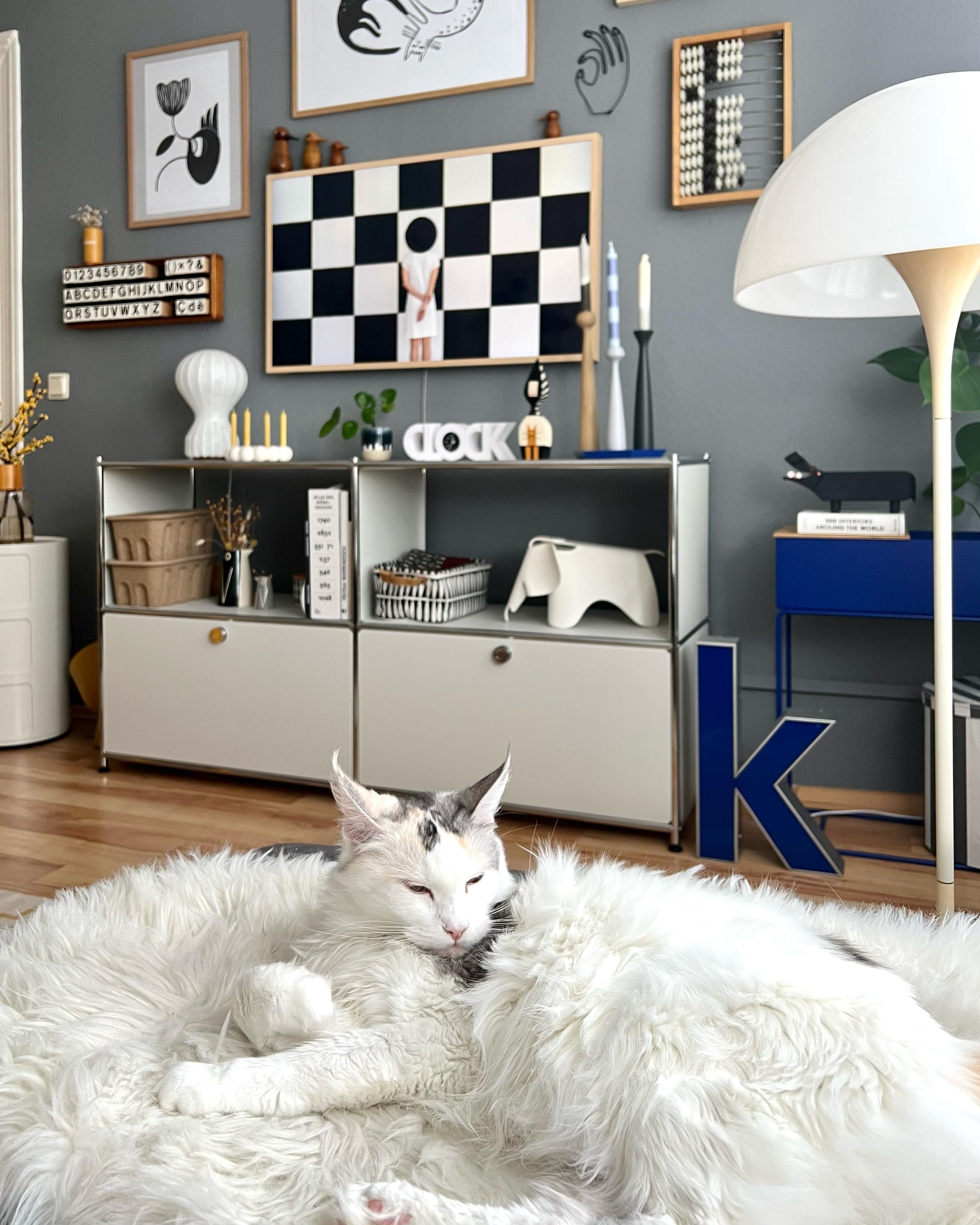 #couchliebt #interior #interiordesign #interiorinspo #gallerywall #frametv #wohnzimmer #tv #blau #katze
