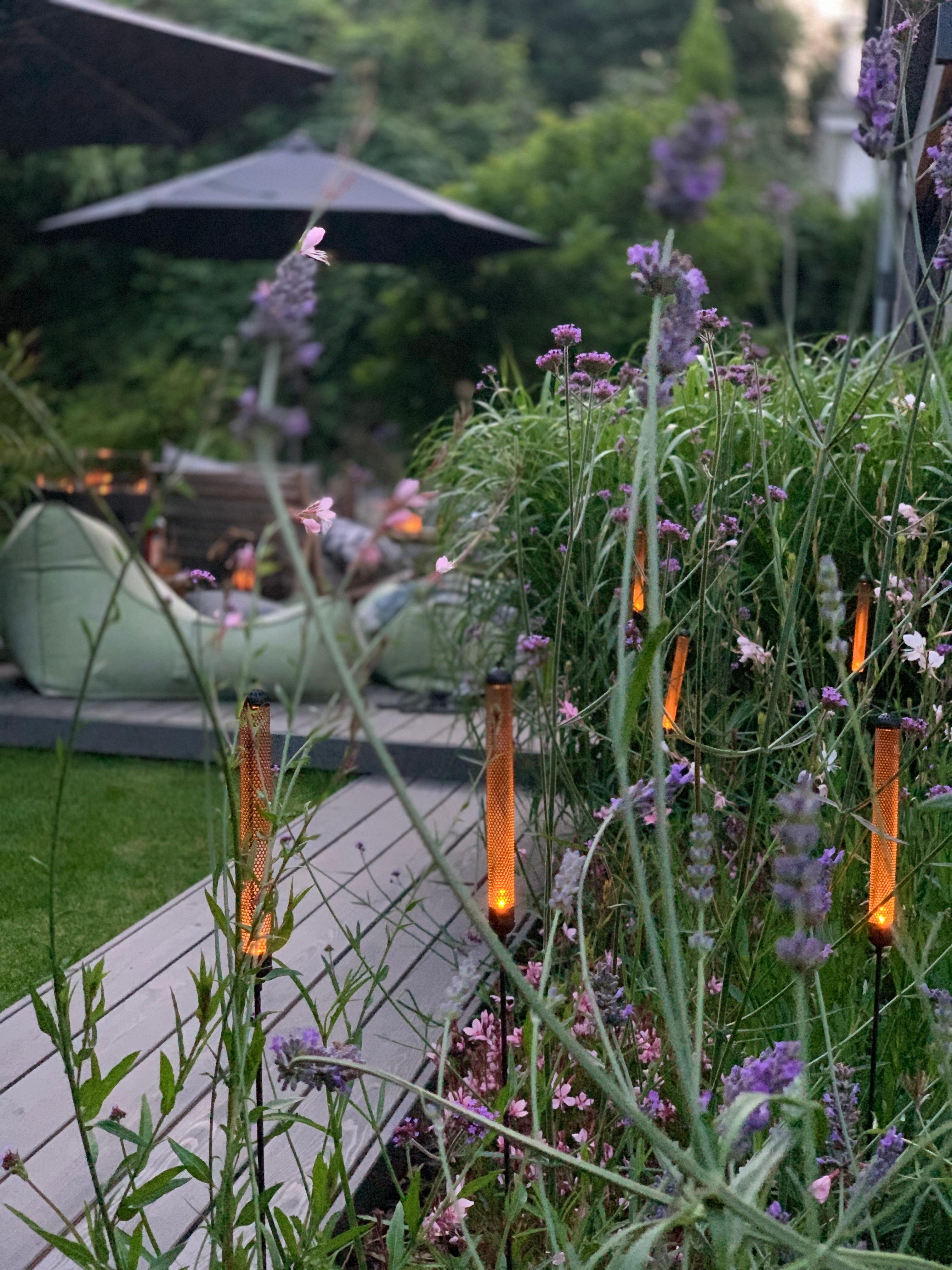 Cozy Evening...🖤
#garten #terrasse #sommerabend #gardening #summervibes #sommer #terrassengestaltung #interior