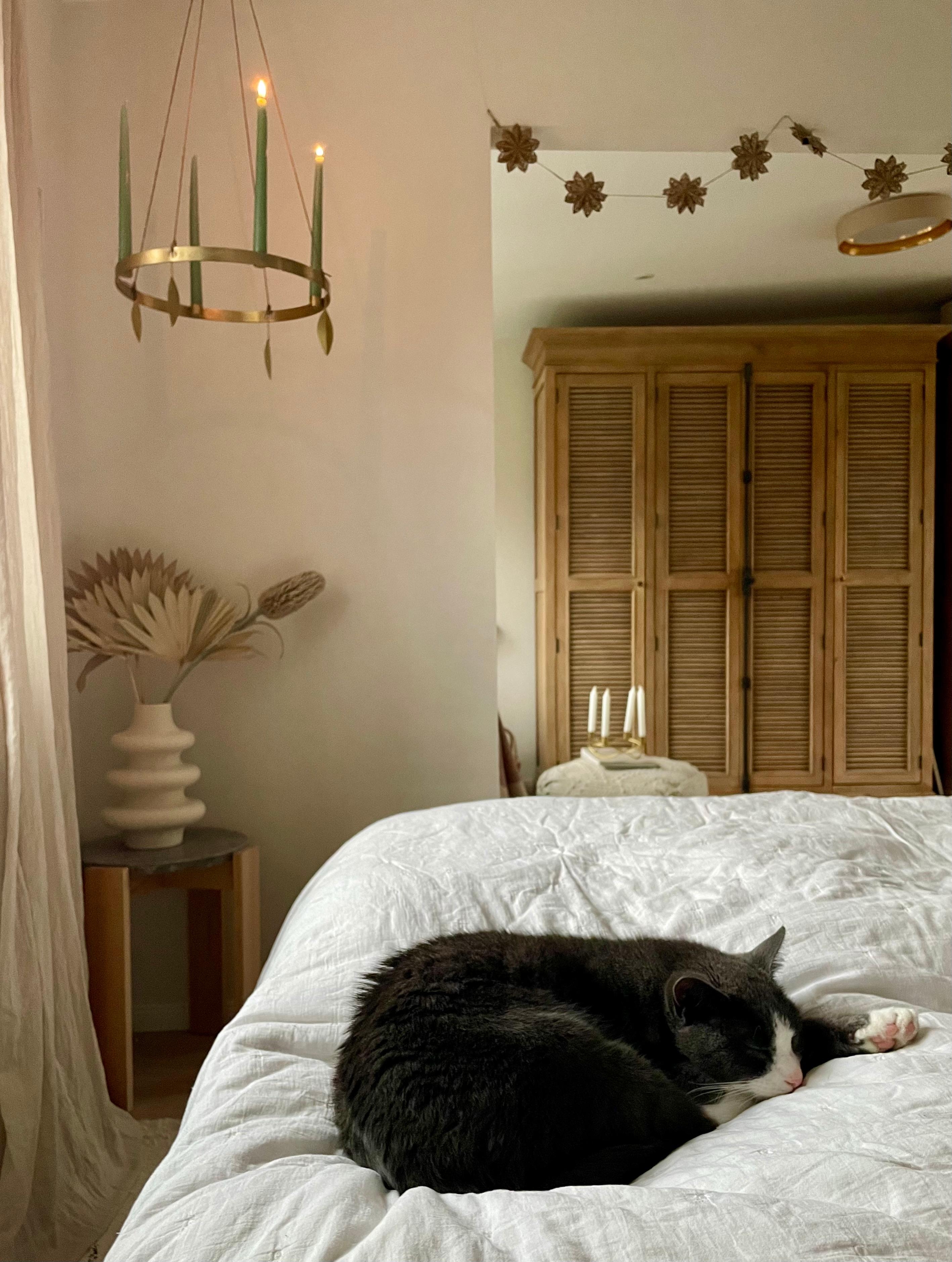 #cozy #schlafzimmer #katzenliebe #advent #COUCHstyle #couchmagazin