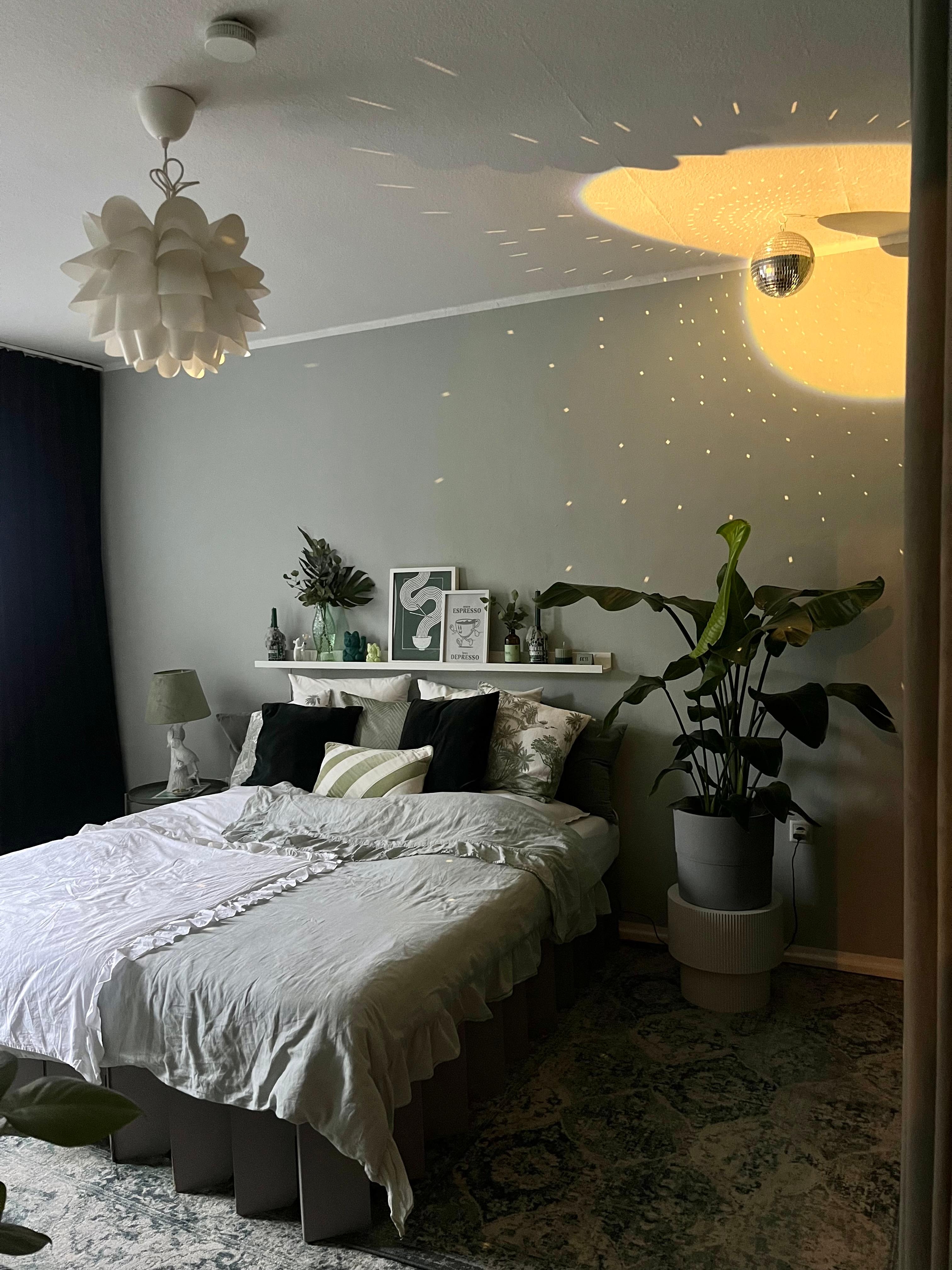 Cozy times 🌱 🪩 😴
#bedroom #roominabox #greengreengreen #cozy #calming #plantlover 