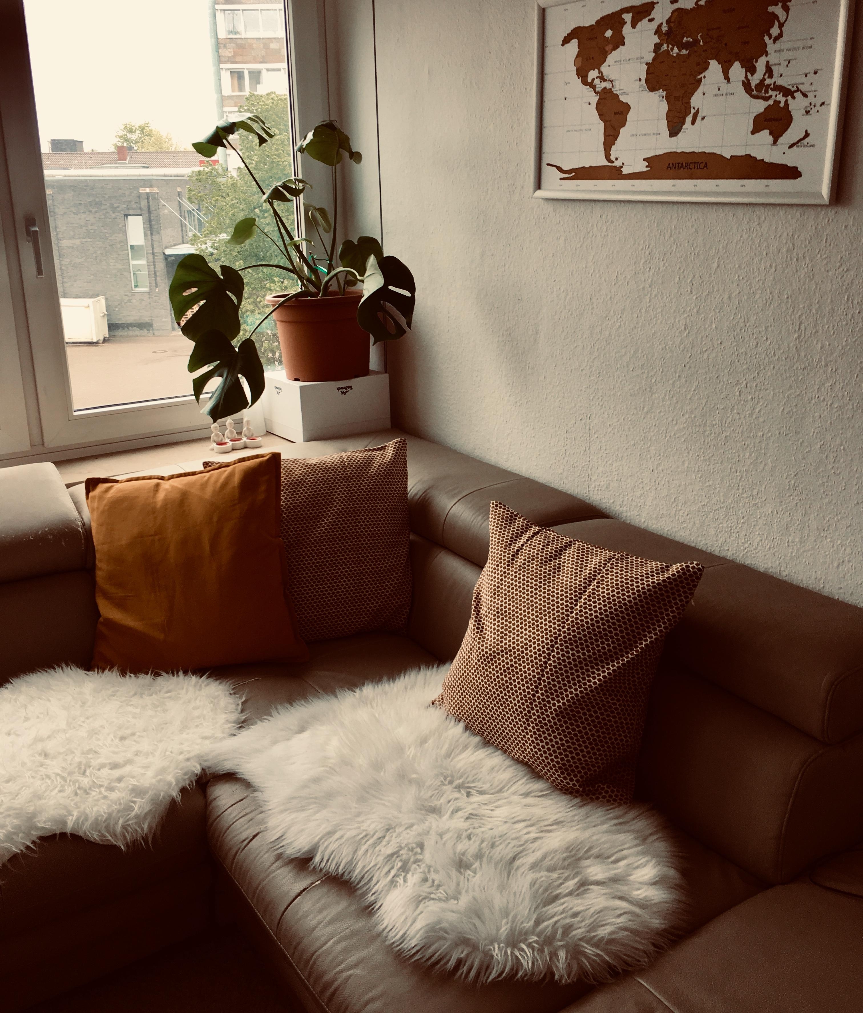 #cozy #wohnzimmer