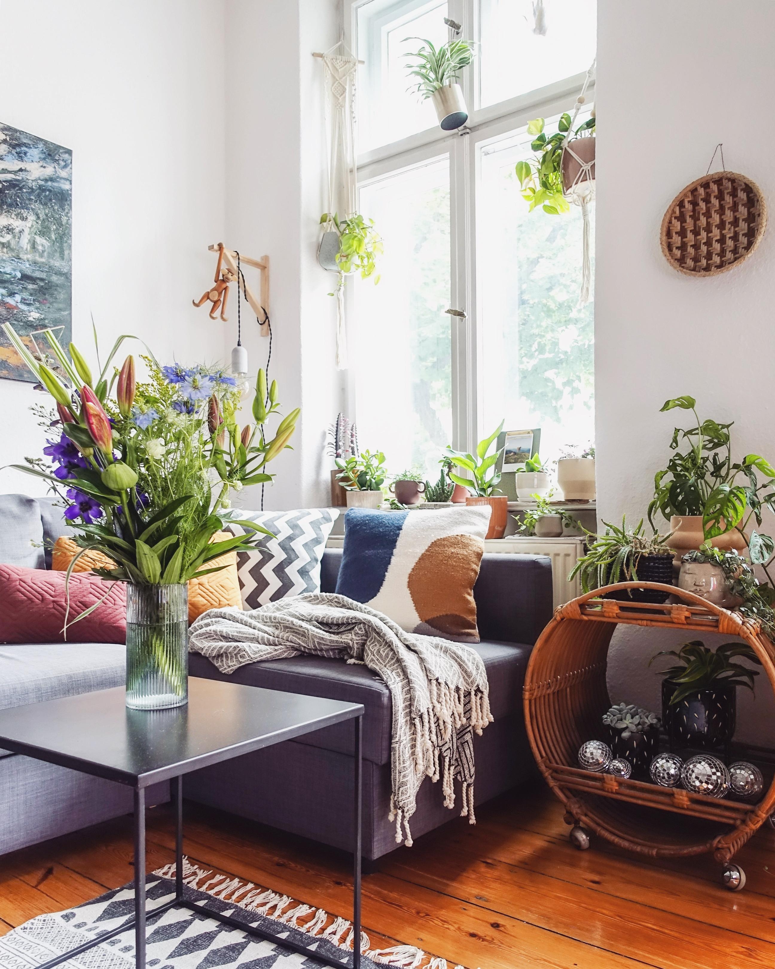 #cozyweekend #livingroom #plantlover #homesweethome
