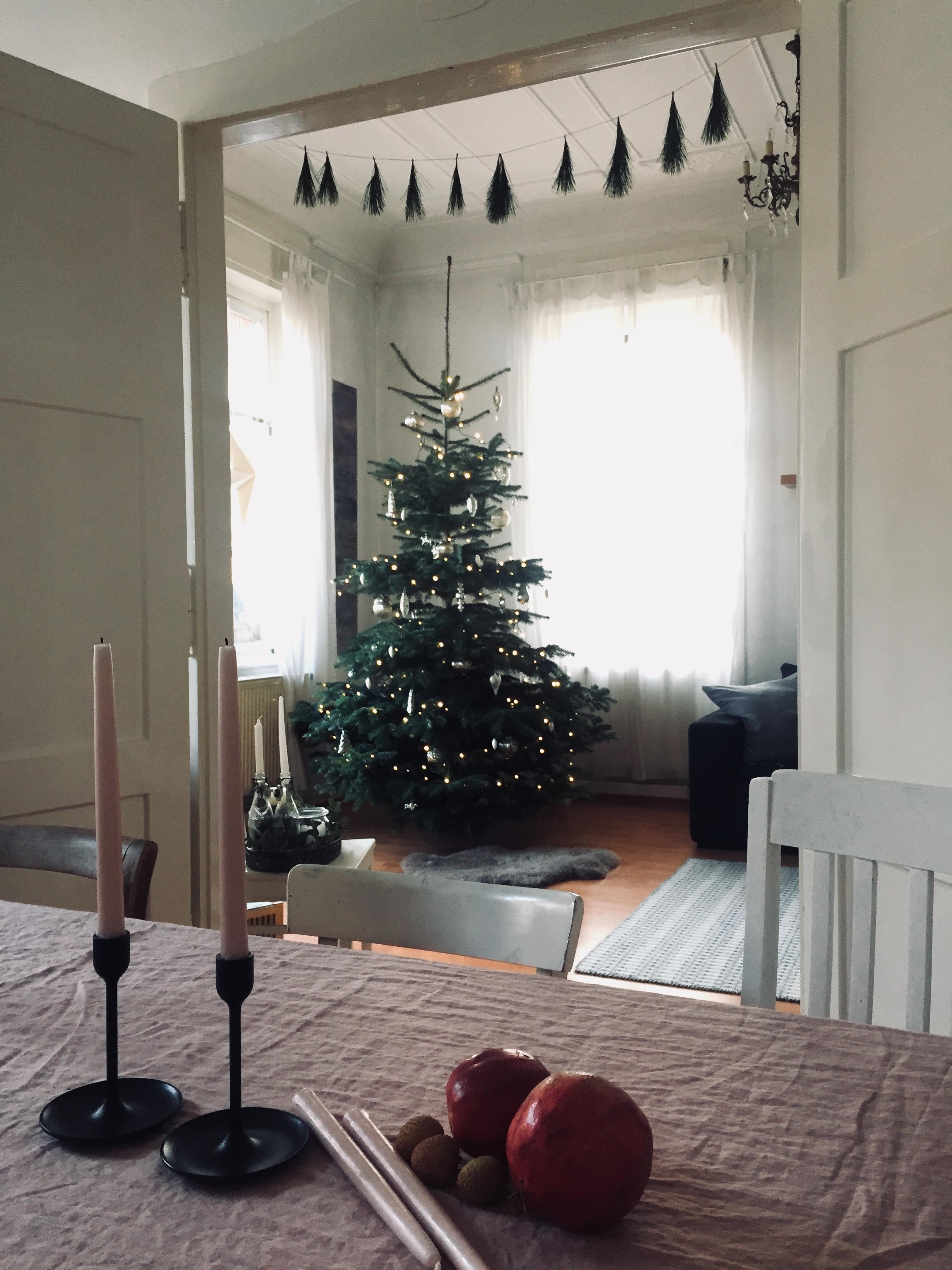 Da is er, der #weihnachtsbaum. #vorfreude #xmas #couchstyle #weihnachtsdeko #hygge 