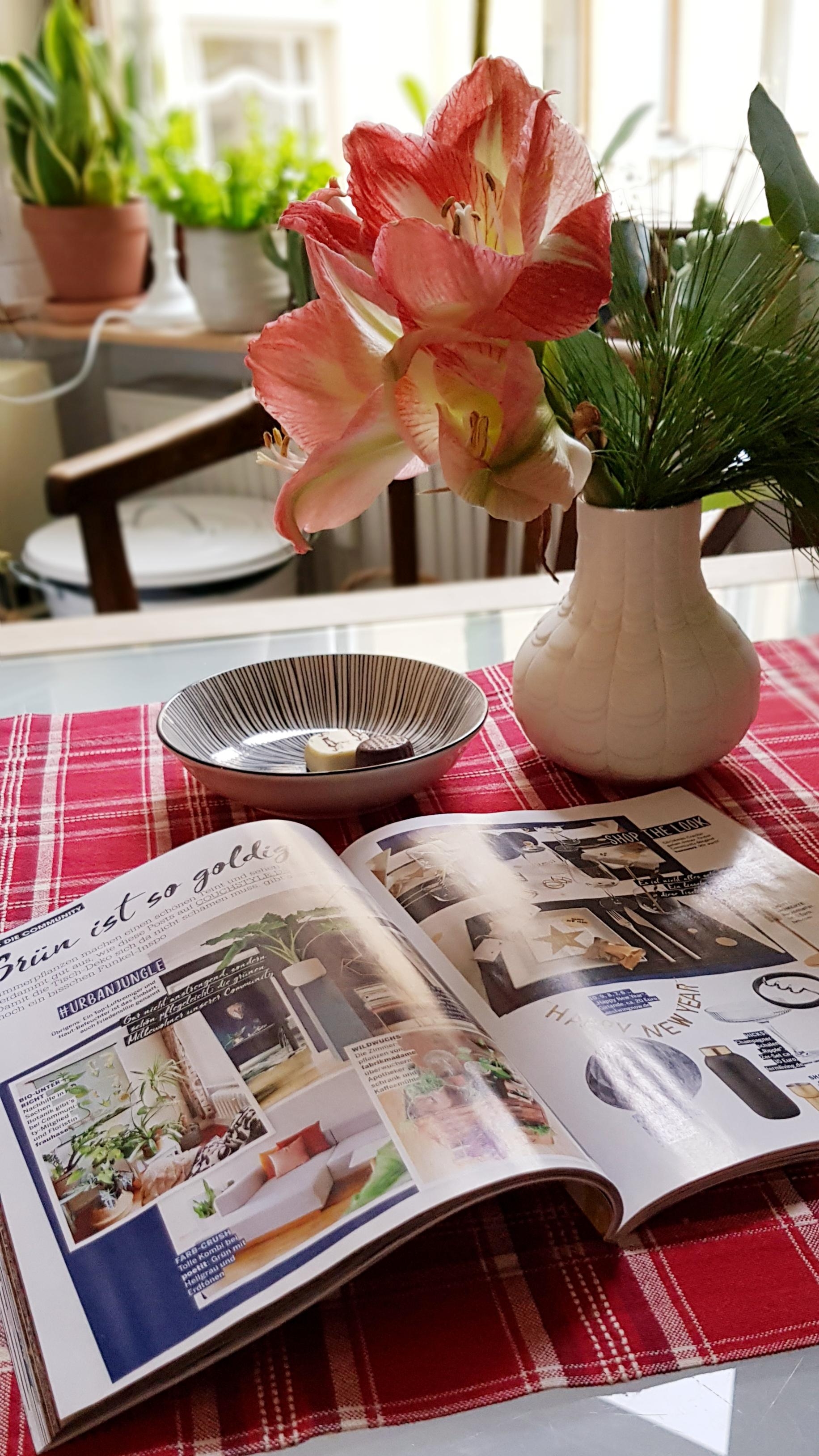 Danke liebe Couch-Redaktion,  das war eine schöne Überraschung mein Bild in der Januar Ausgabe #couch #amaryllis #küche 
