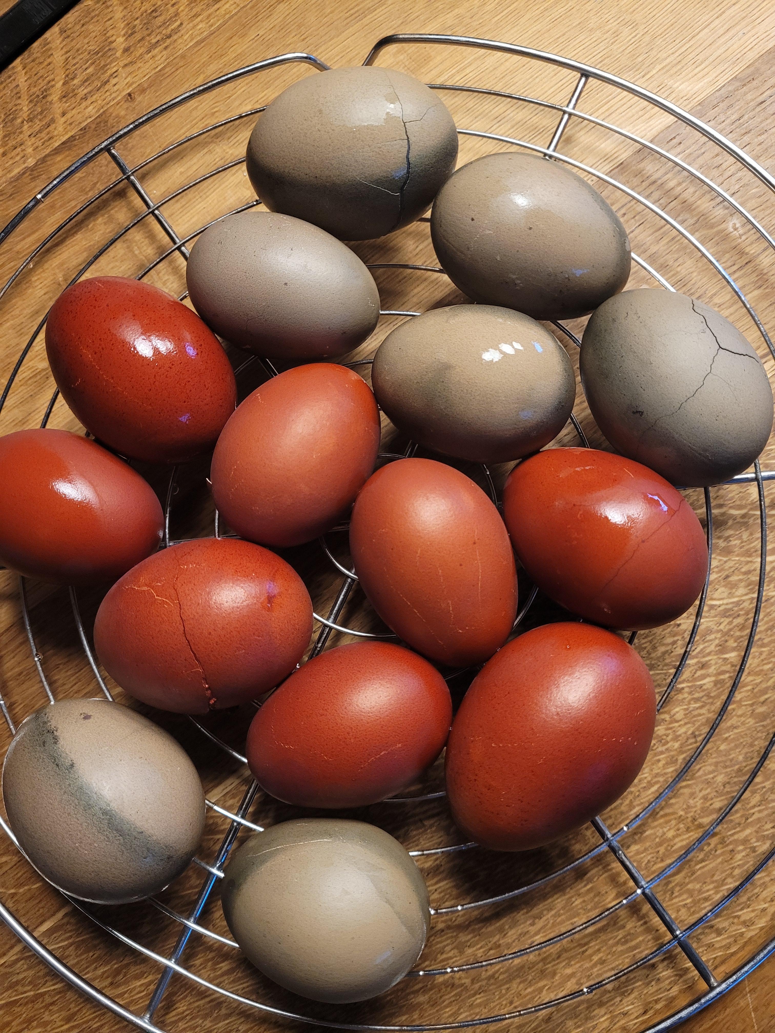 Das erste #Ostern mit #eiern der eigenen Hühner 🤗leider ist die Schale etwas zerbrechlicher (rotkraut/zwiebelschale)