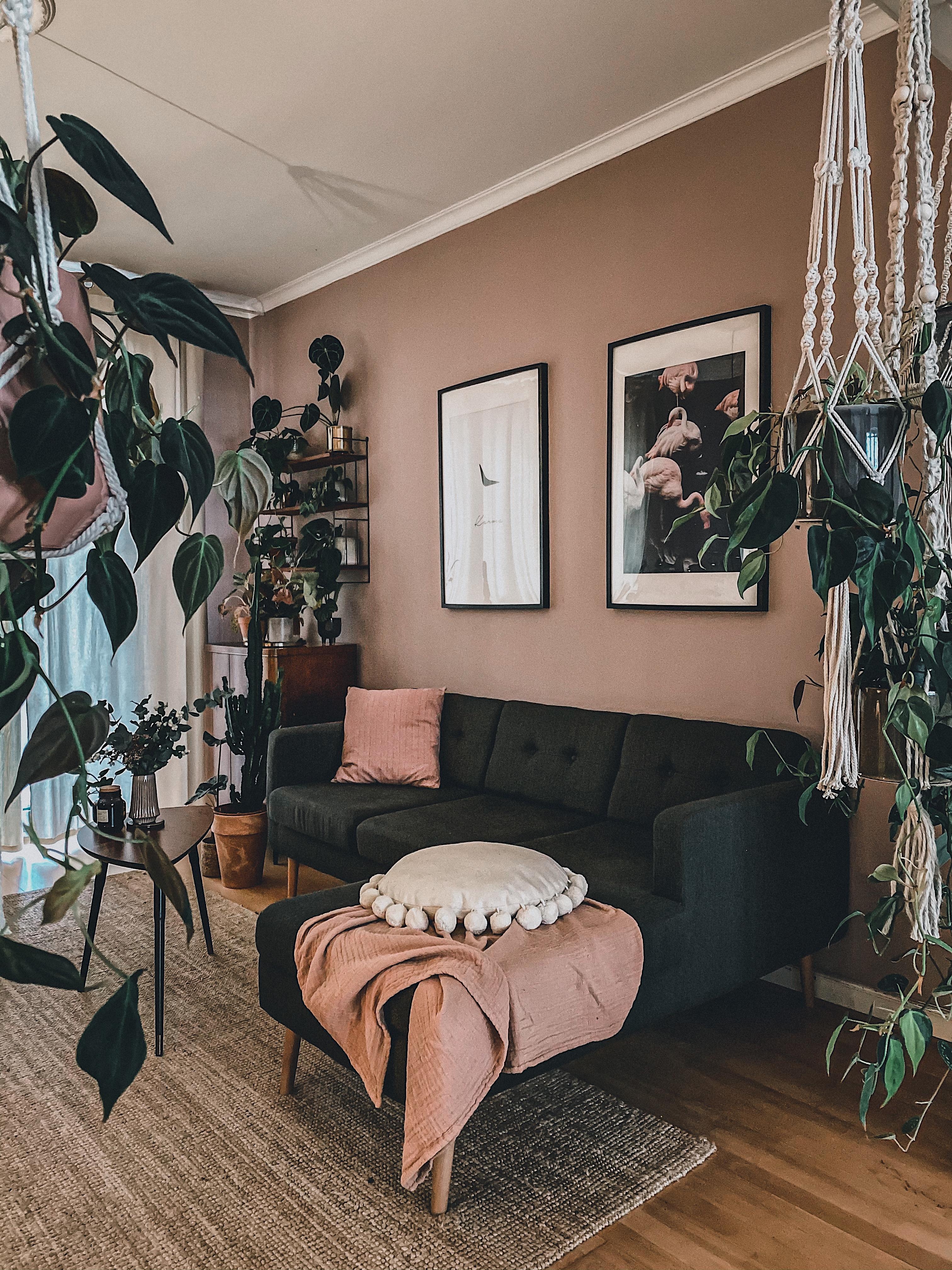 Das Farbkonzept meines Wohnzimmers? Brot mit Leberwurst und Gewürzgürkchen 😂 #livingroom #plants #pflanzenliebe