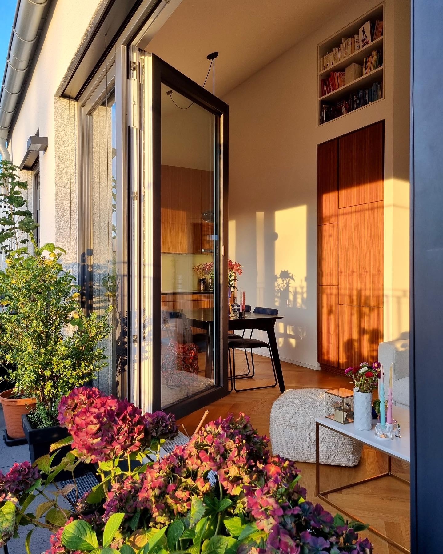Das Licht ist schon toll im Herbst 🥹 #balkon #pflanzen