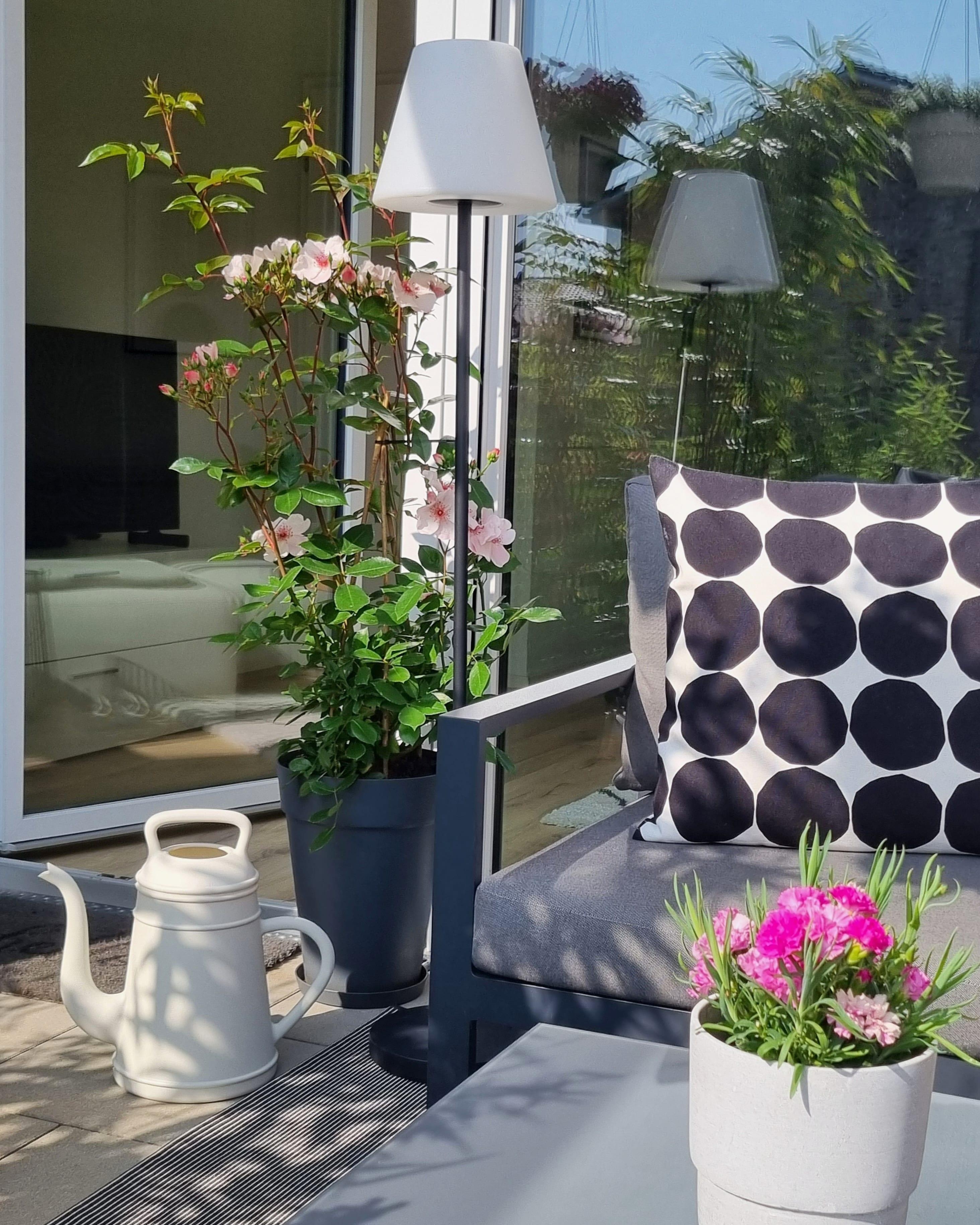 Das schöne Wetter genießen 

#terrasse #outdoor #sonnenschein #blumen #flowers #couchstyle 