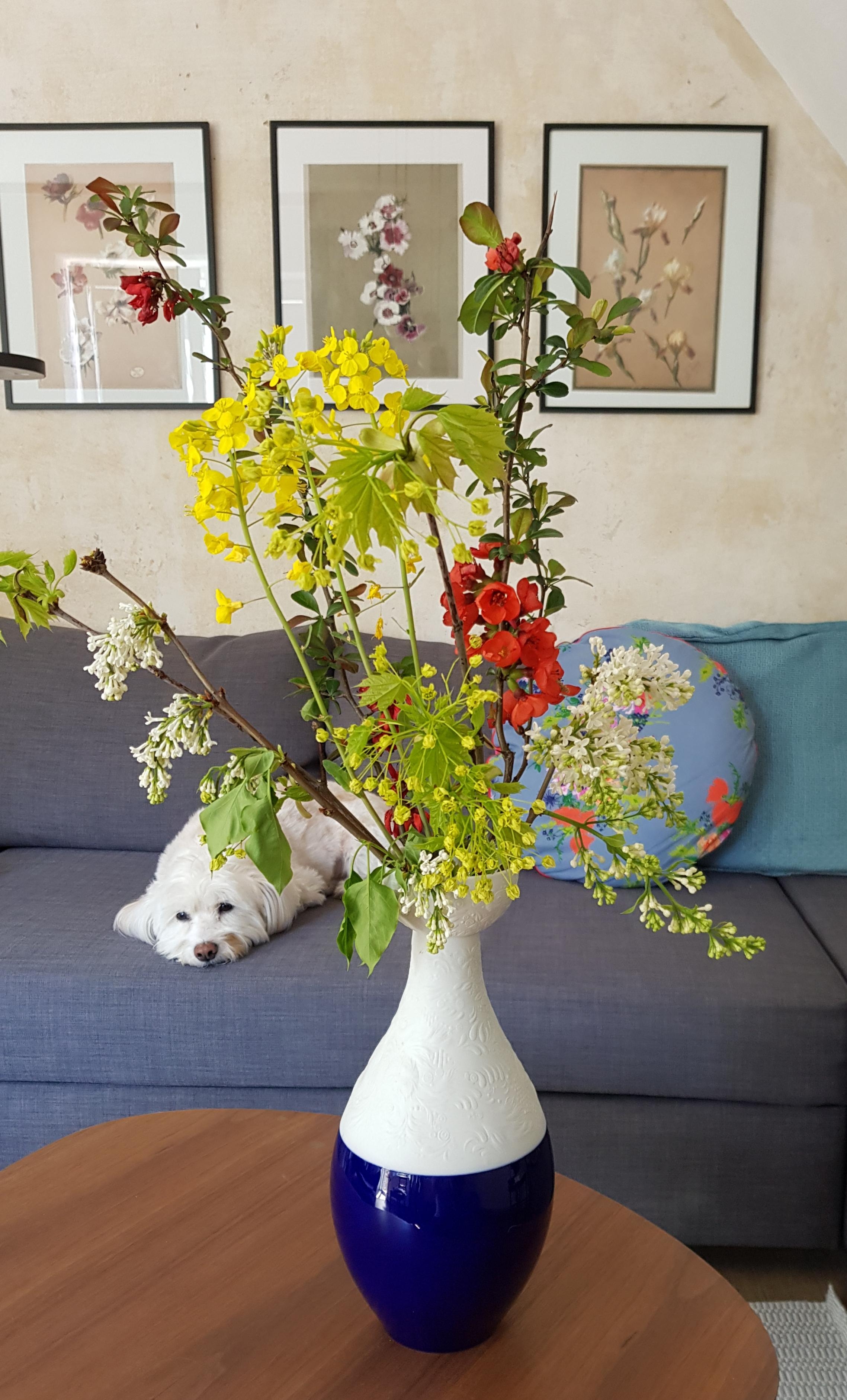 Das Wochenende naht.. #freshflowerfriday #hund #blumen #vase