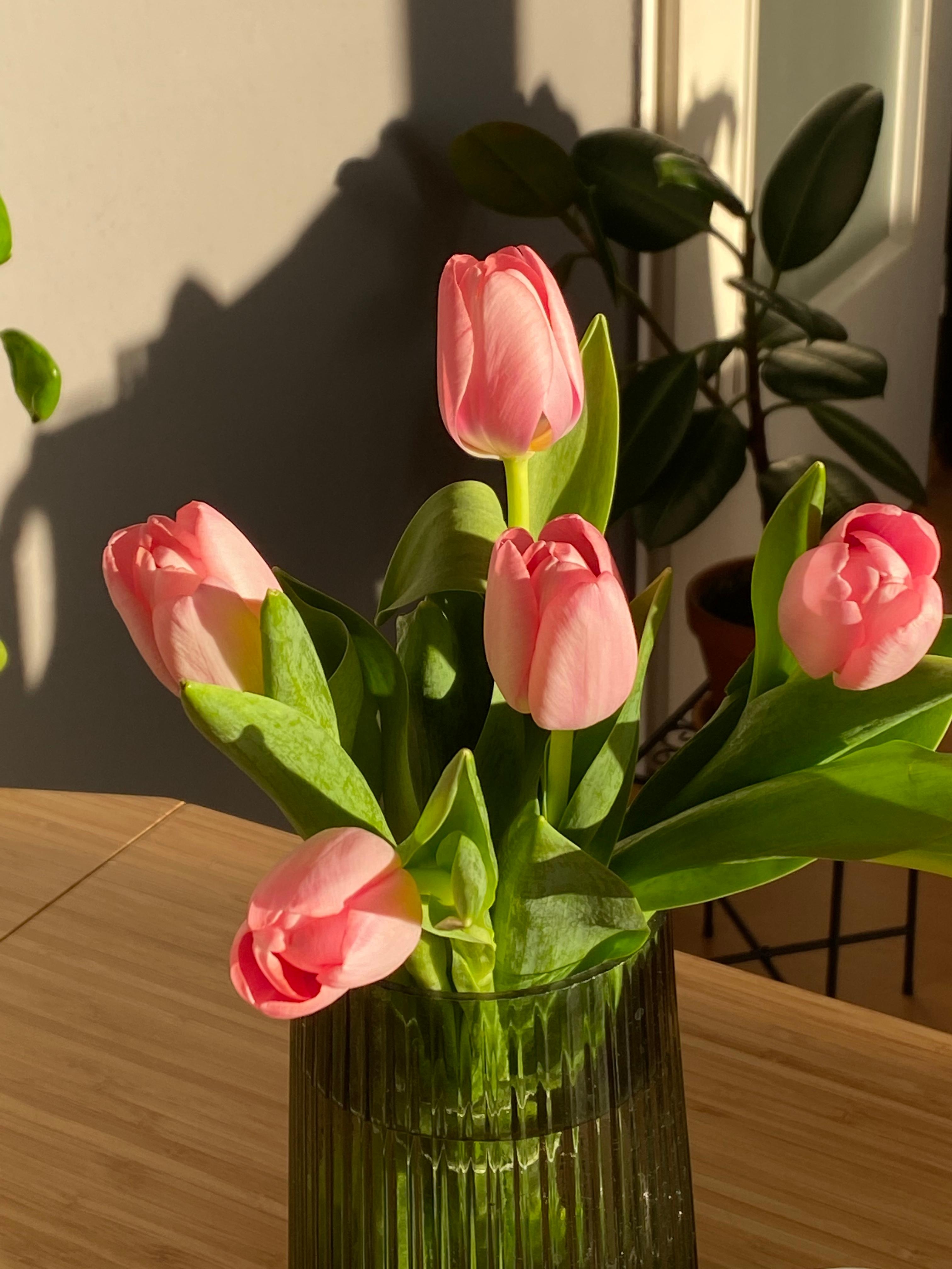 Das Wochenende wird mit frischen Tulpen eingeläutet #freshflowerfriday