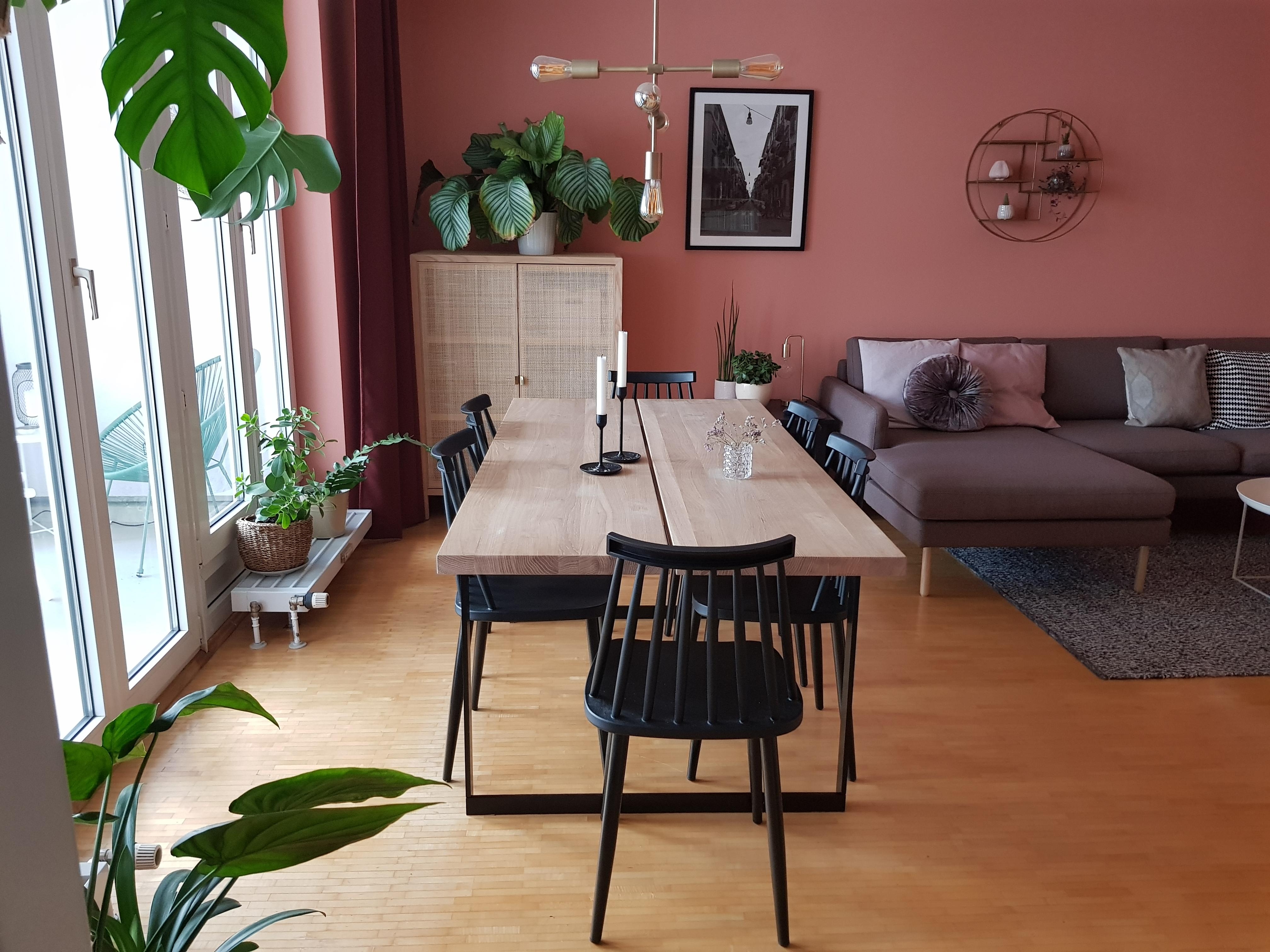 Das #wohnzimmer passt ganz gut zum Thema #plantlover der #livingchallenge || #monstera #calathea #wandfarbe #rosa 