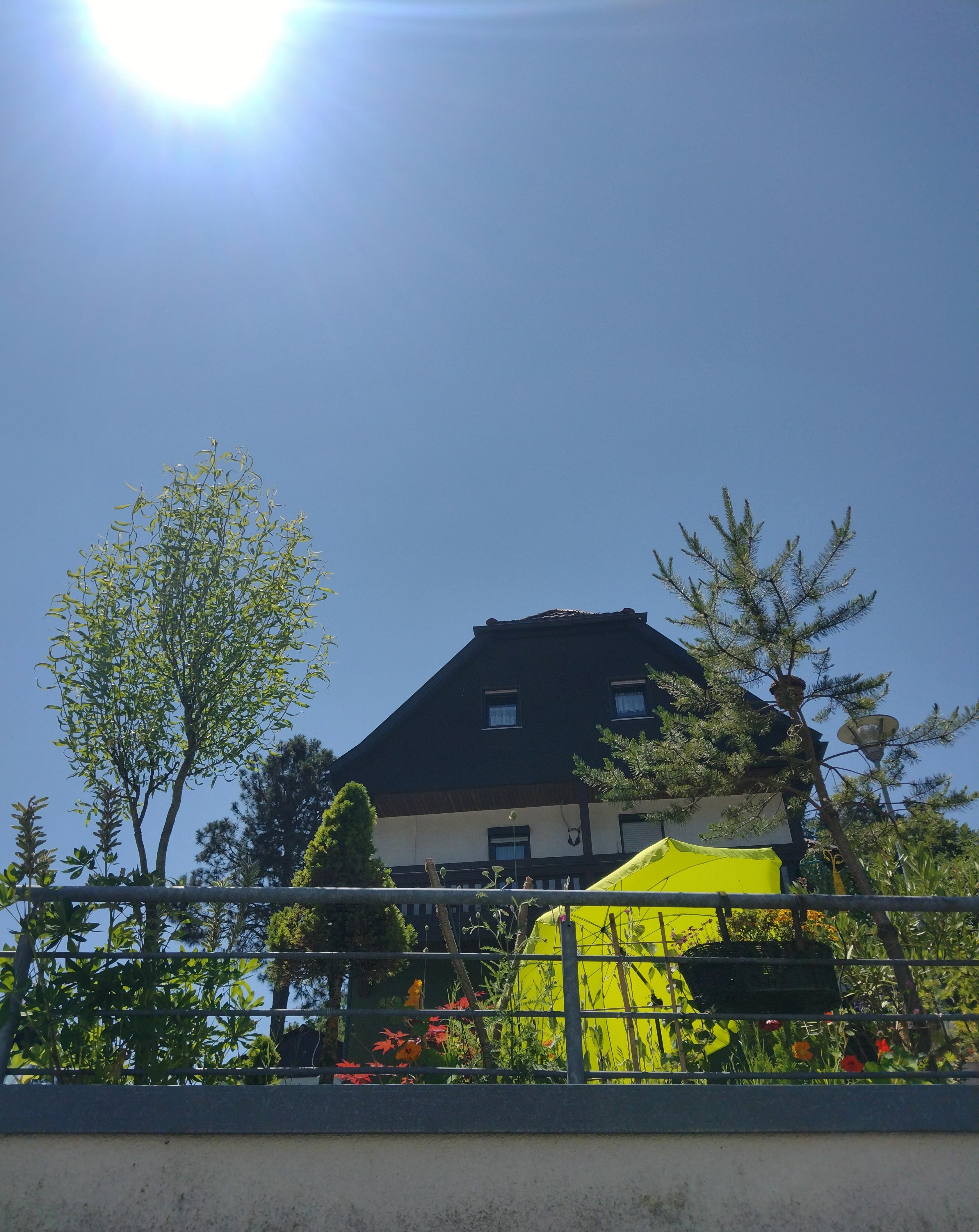 #dasistmeinparkplatz mal anders
💚🌞💙
#outdoor #sommer #sommerliebe #topfpflanzen