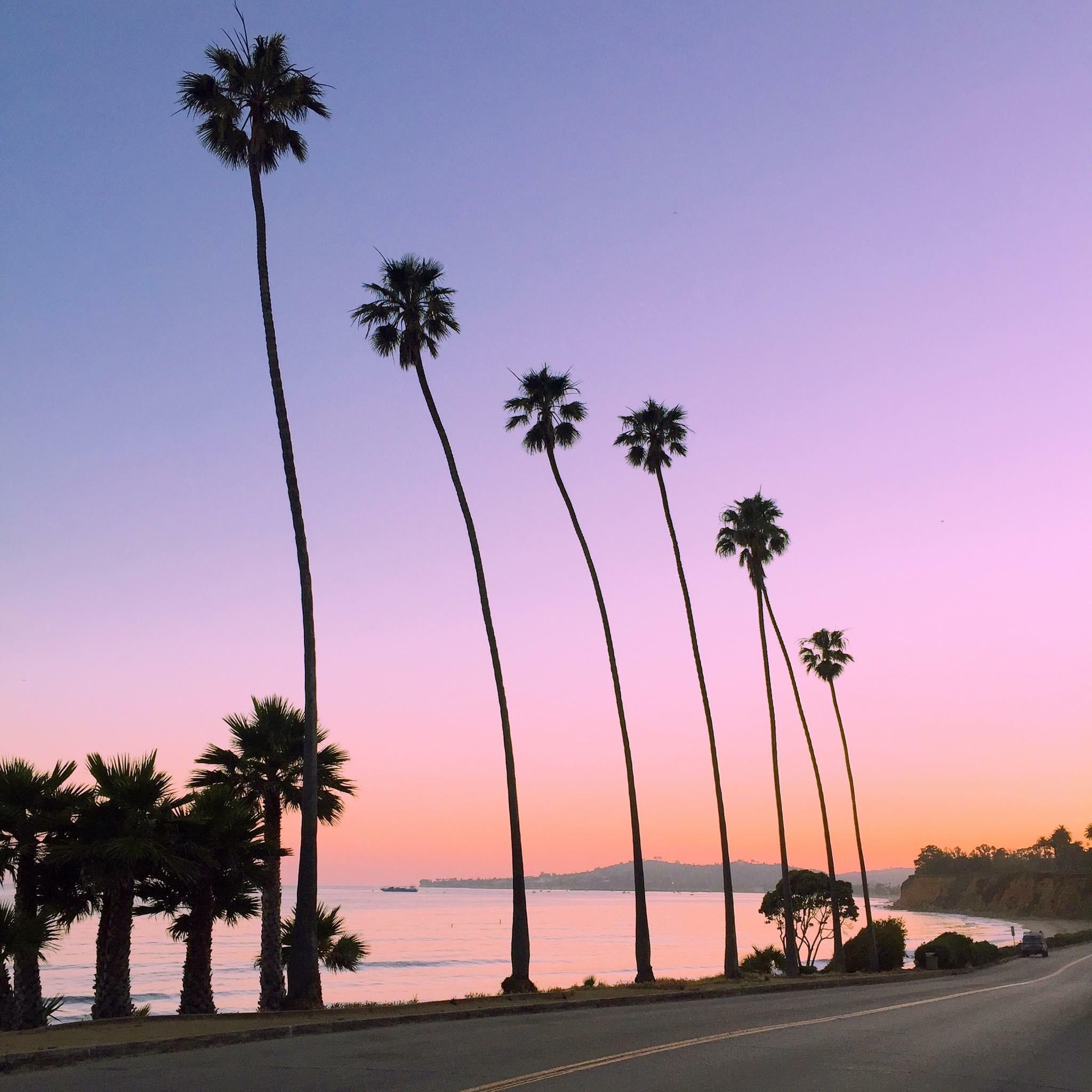 Daydreaming 🌴☀️❤️
#kalifornien #palmen #vitaminsea #sundown #throwback #holidays #memories #santabarbara #roadtrip